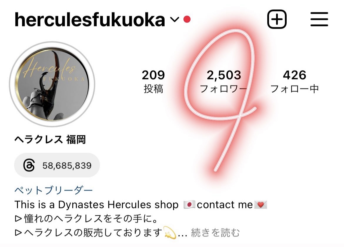 10月スタート！インスタ2500人フォロワーありがとうございます✨