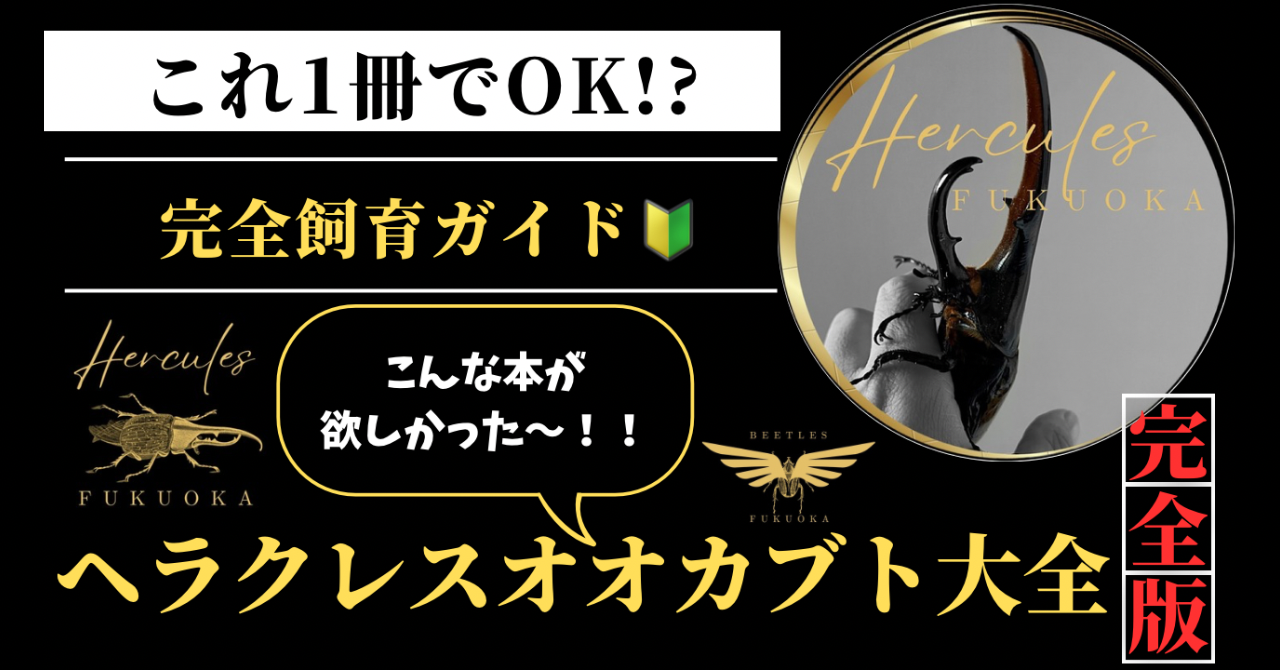 📖ヘラクレス本販売開始のお知らせ📢✨🉐