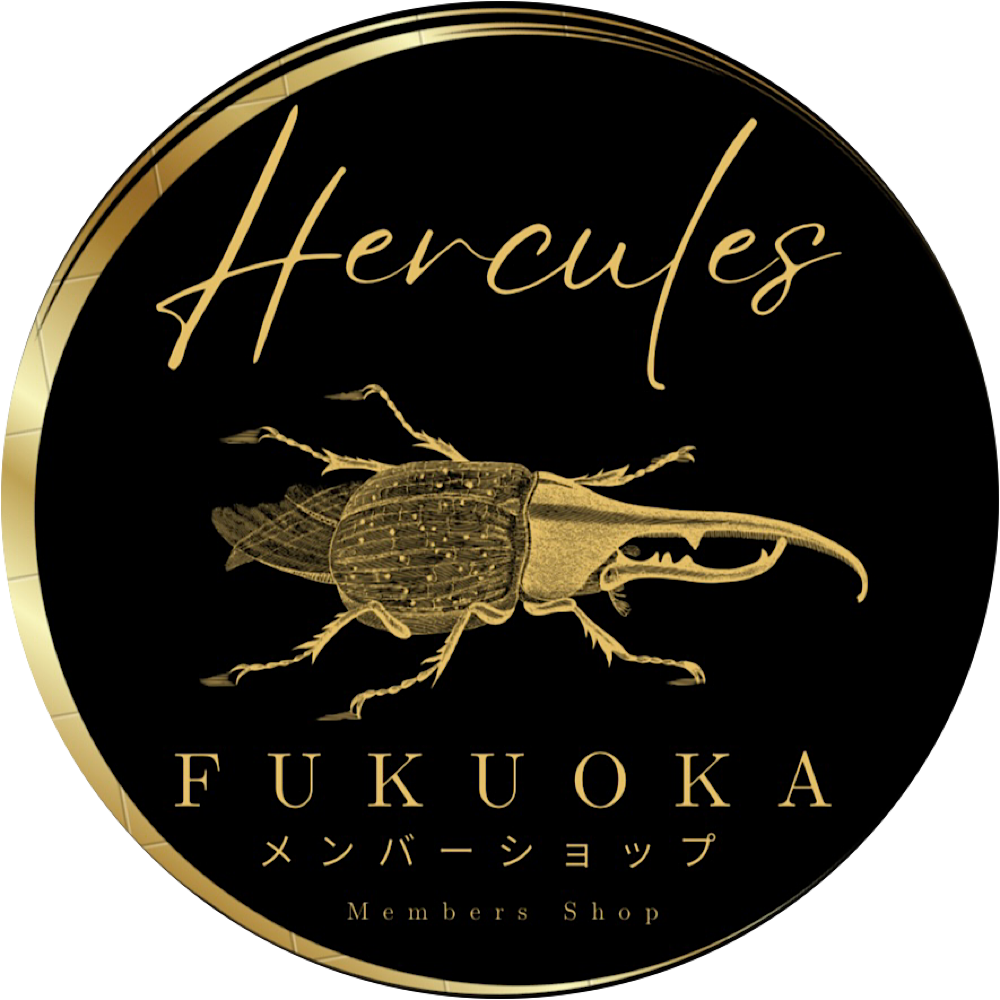 💫無料会員 メンバーショップ開始のお知らせ💫