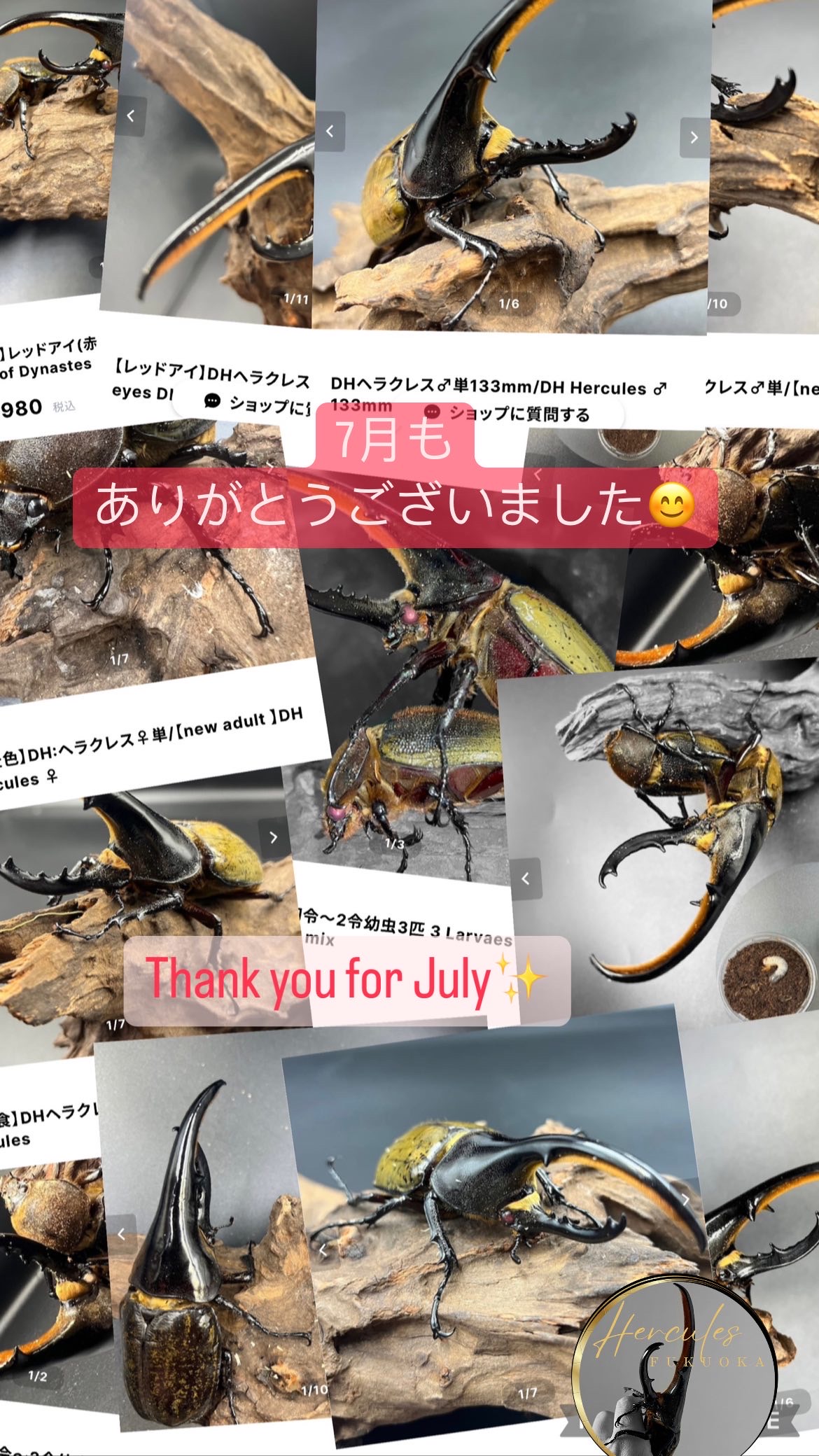 7月も沢山ありがとうございました✨