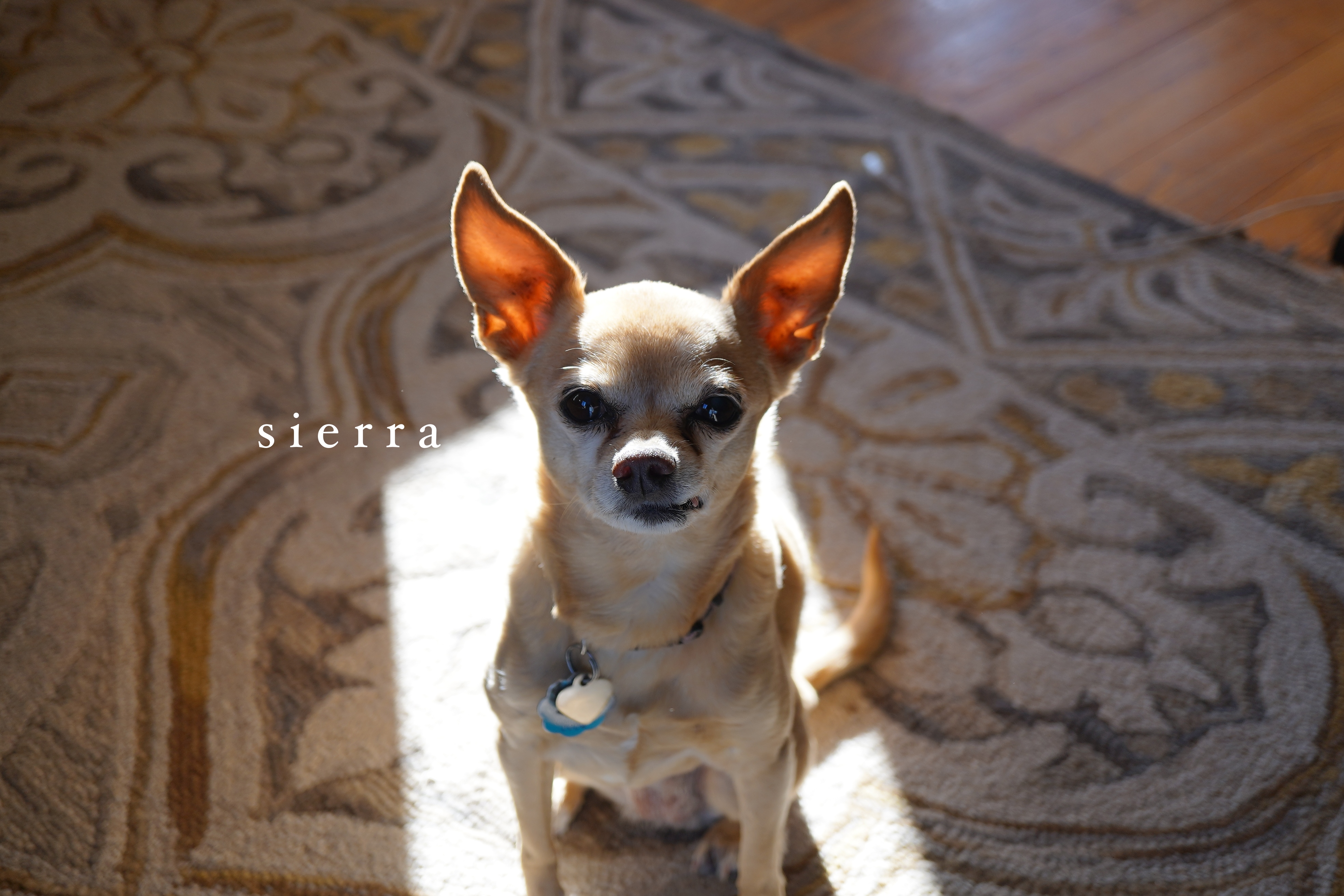 4点アップしました