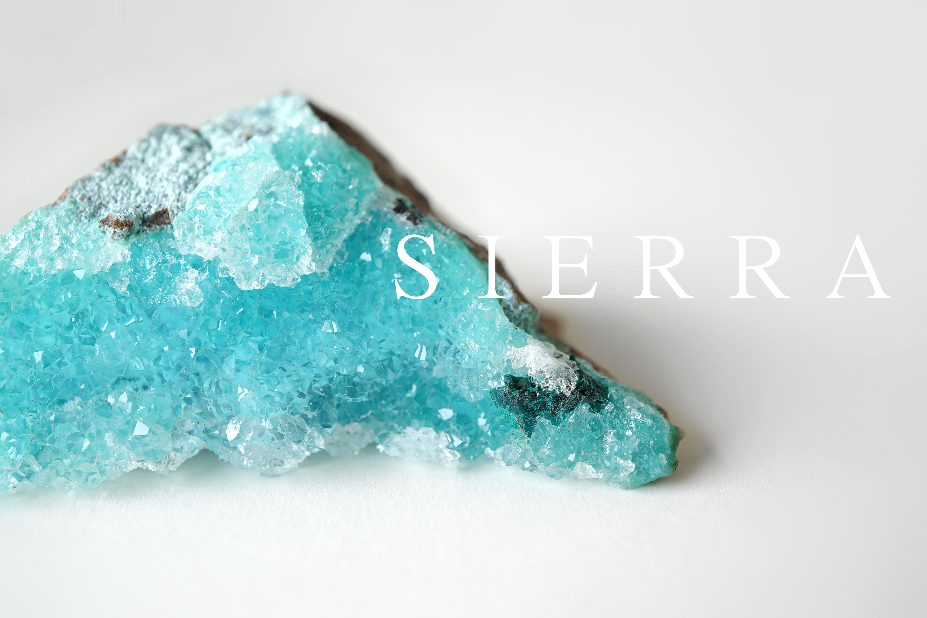 6点アップしました