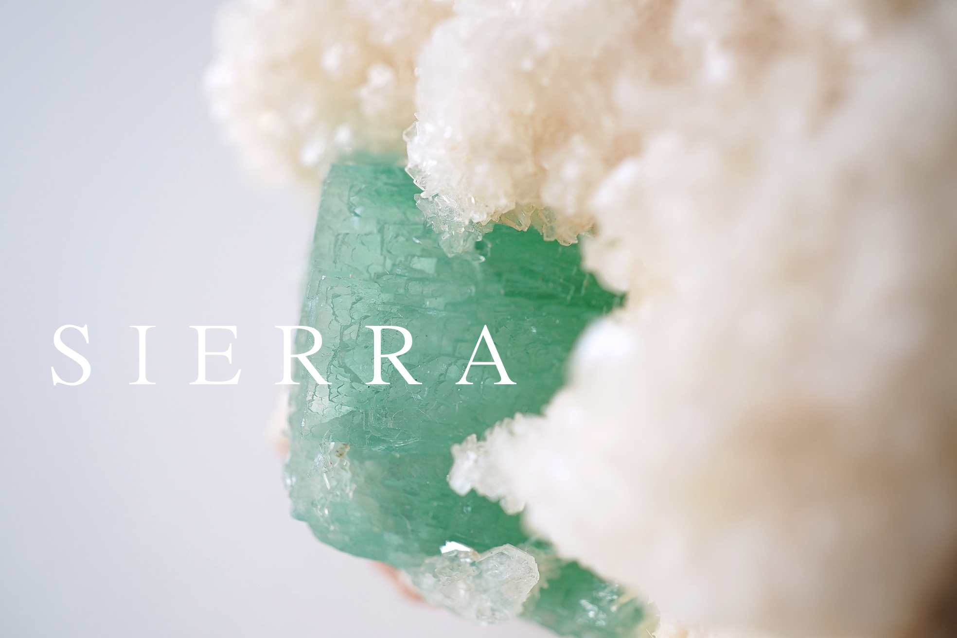 13点アップしました