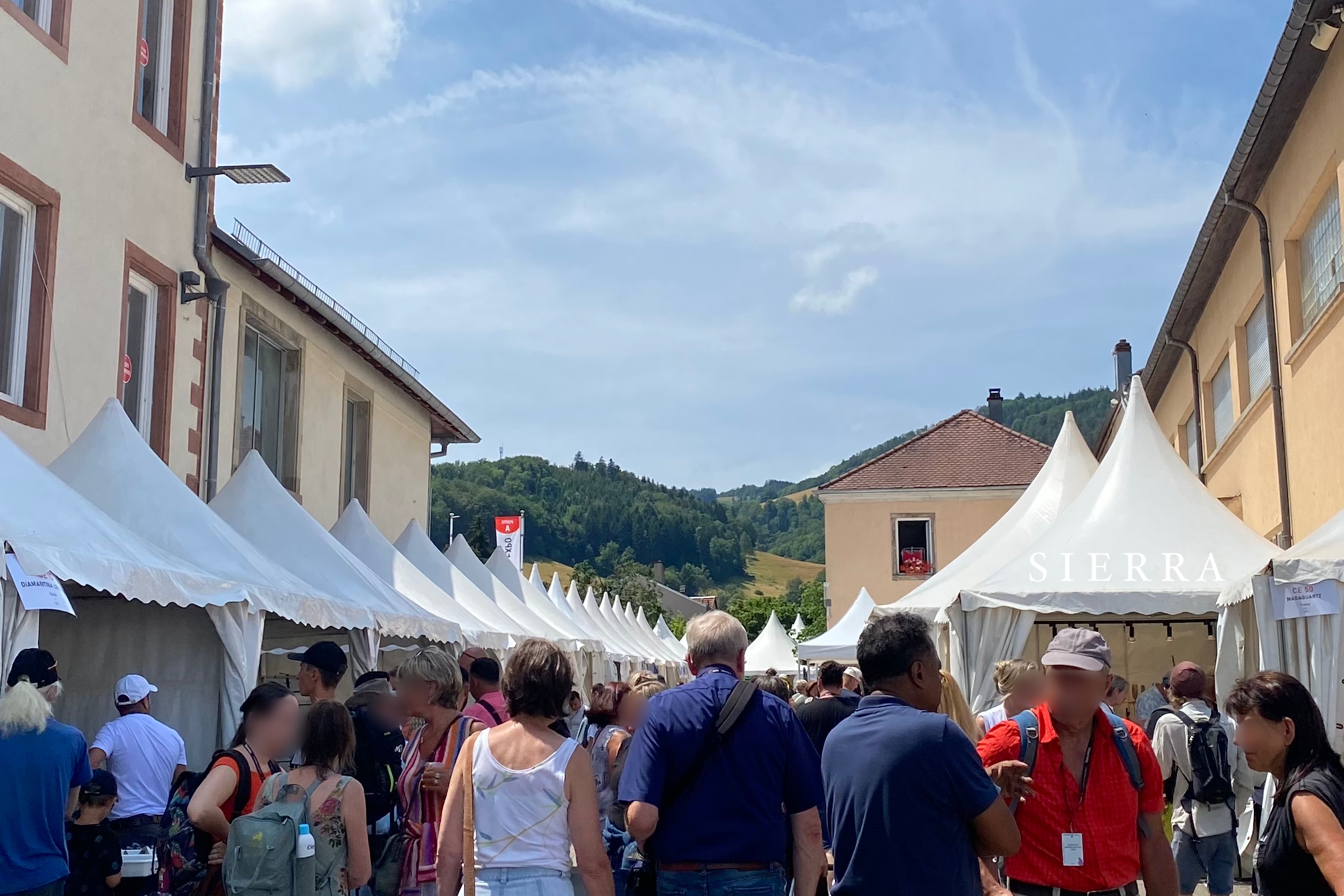 17点アップしました