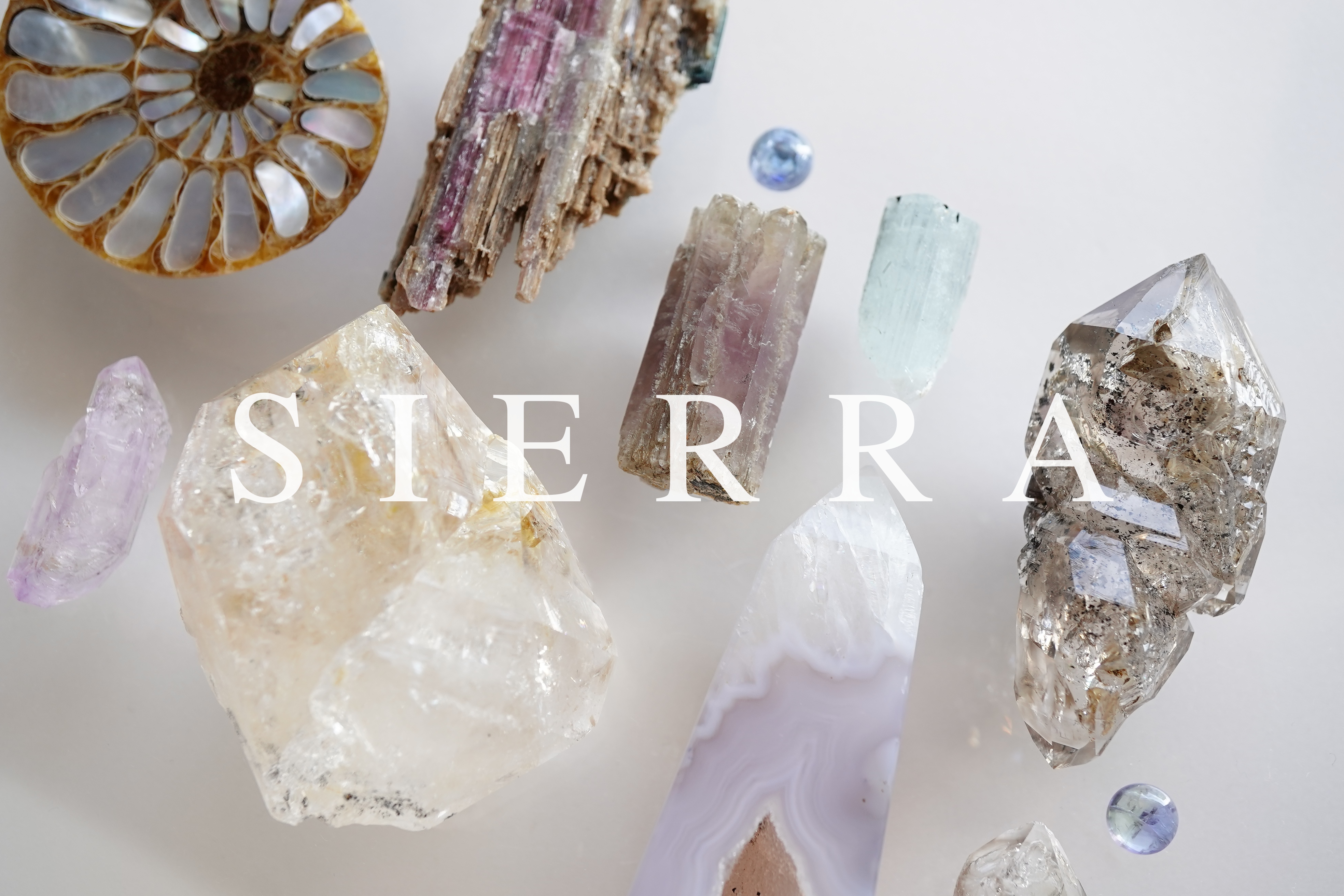 お休みのお知らせ