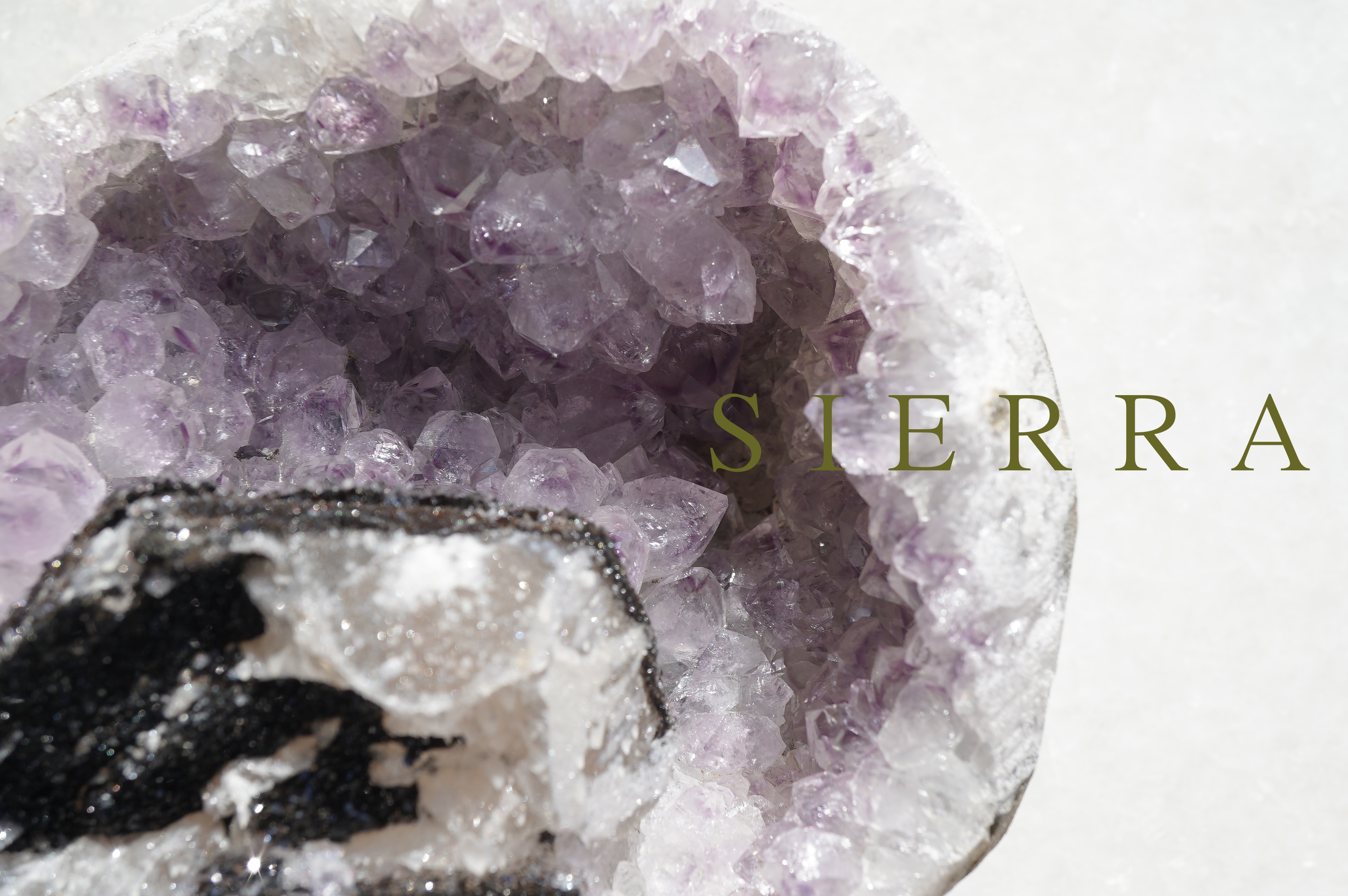 9点アップしました