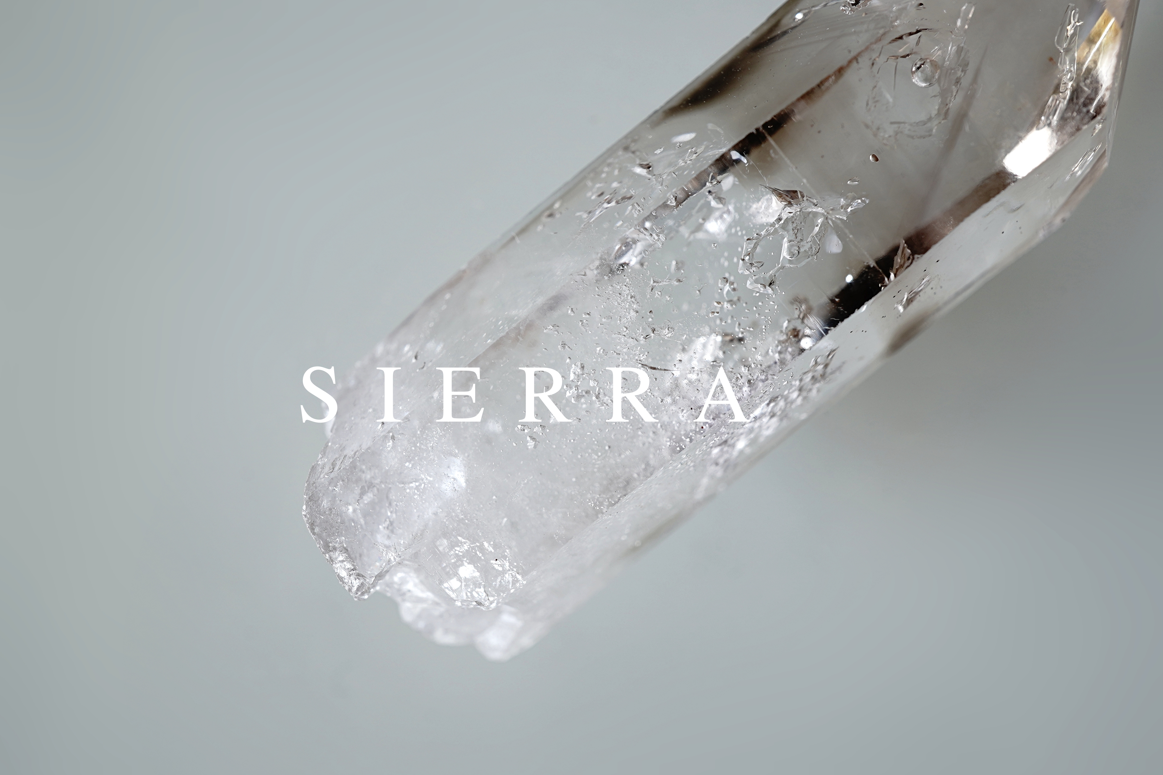 8点アップしました