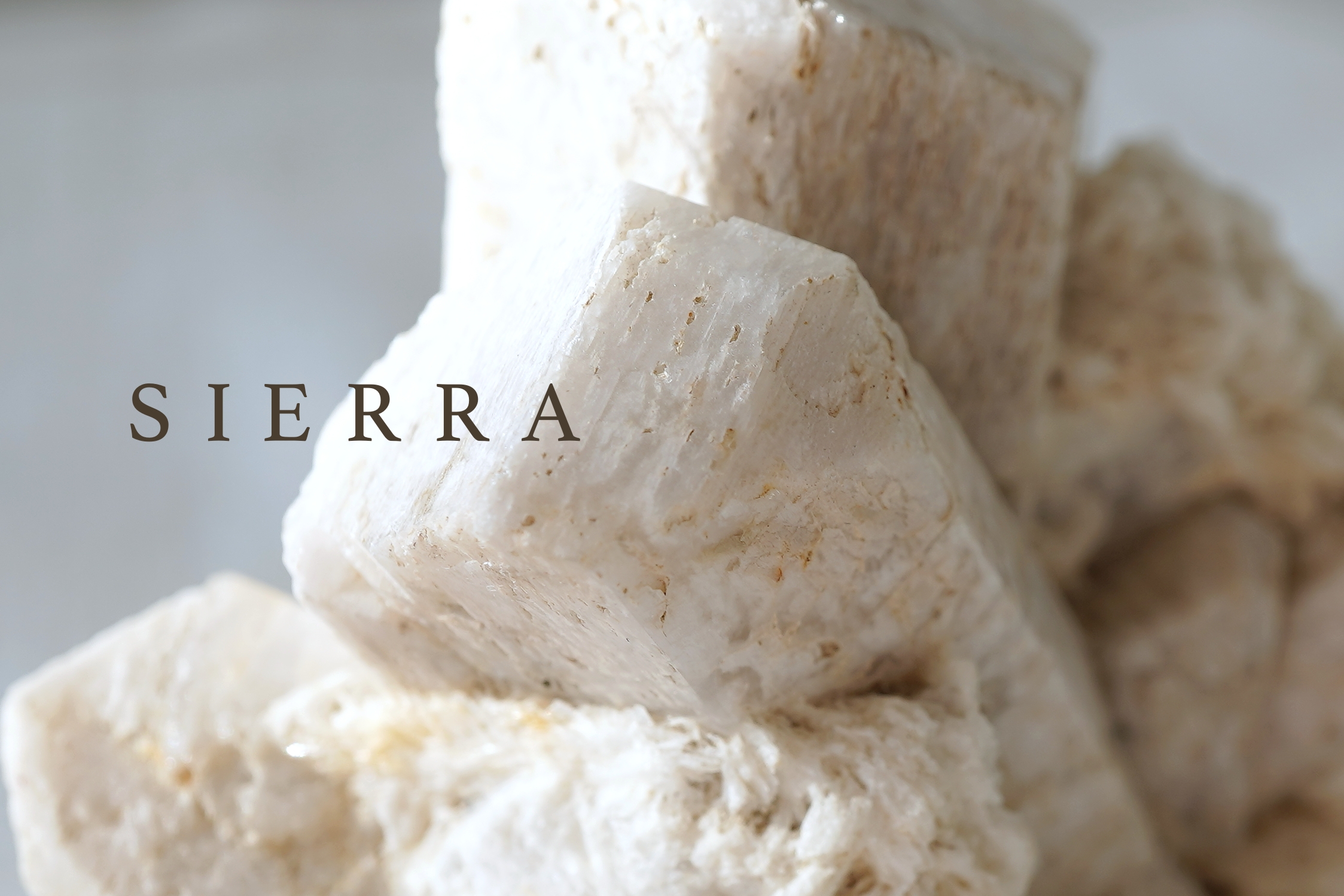 8点アップしました