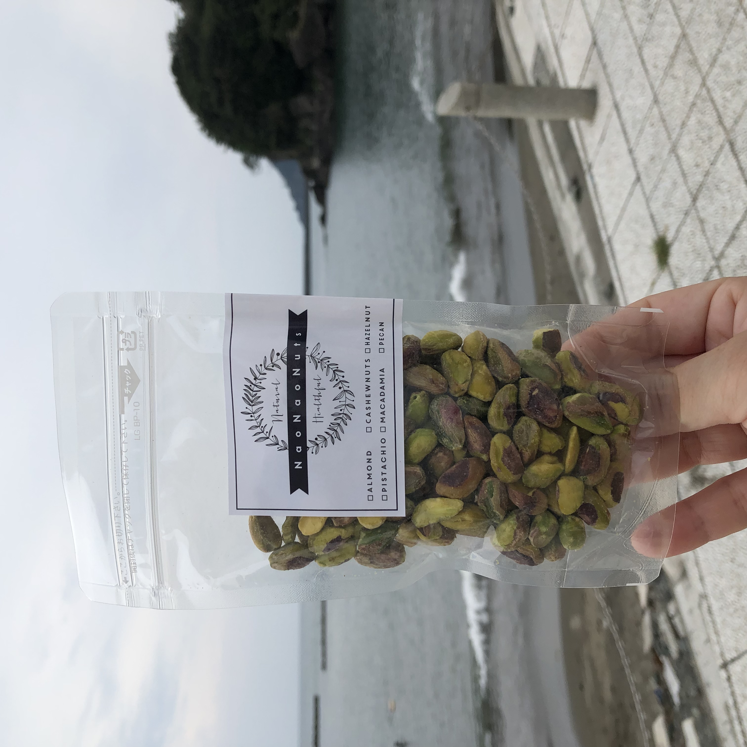 NaoNaoNutsと一緒に海へ