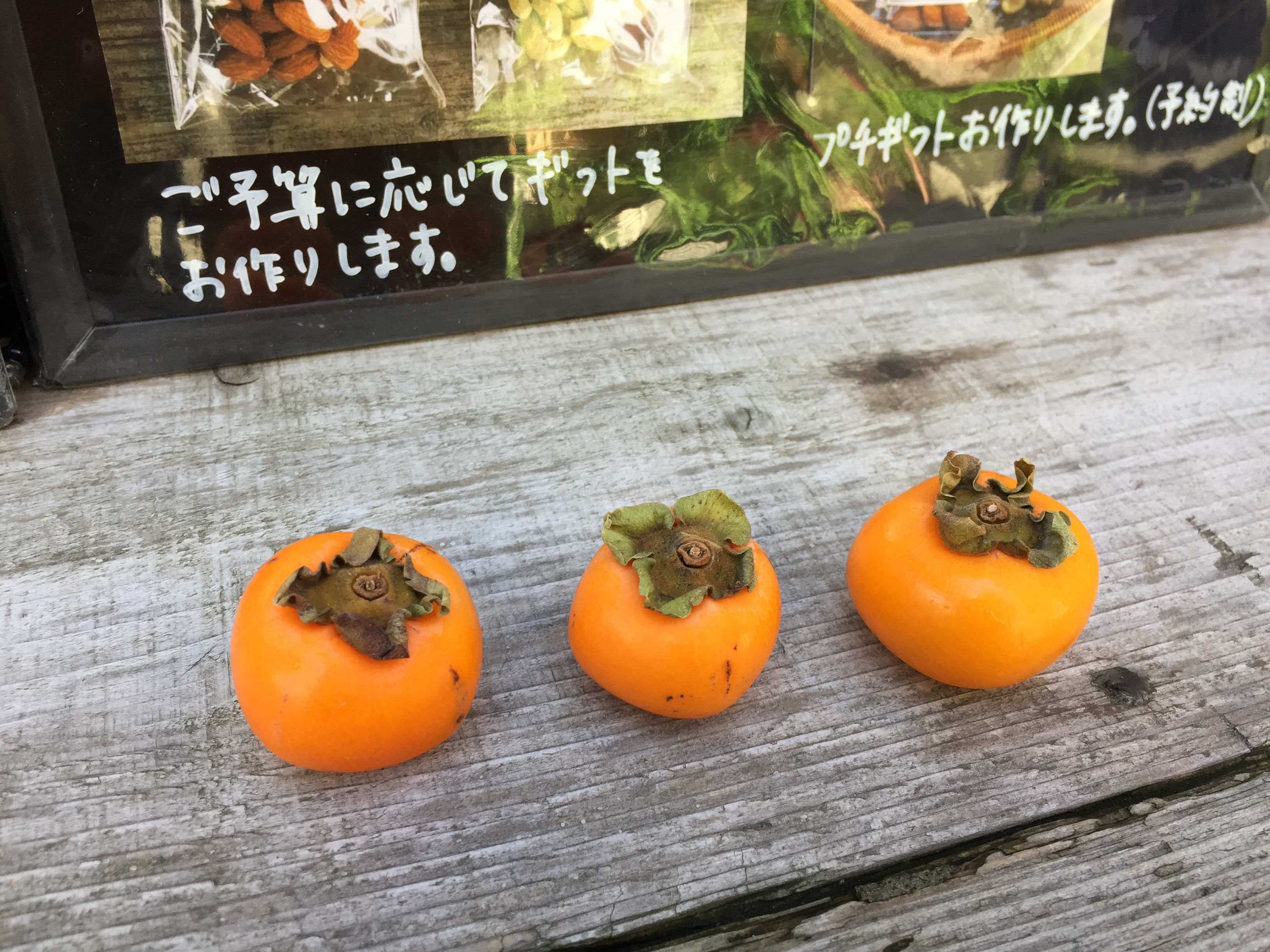 佐渡島のミニ柿