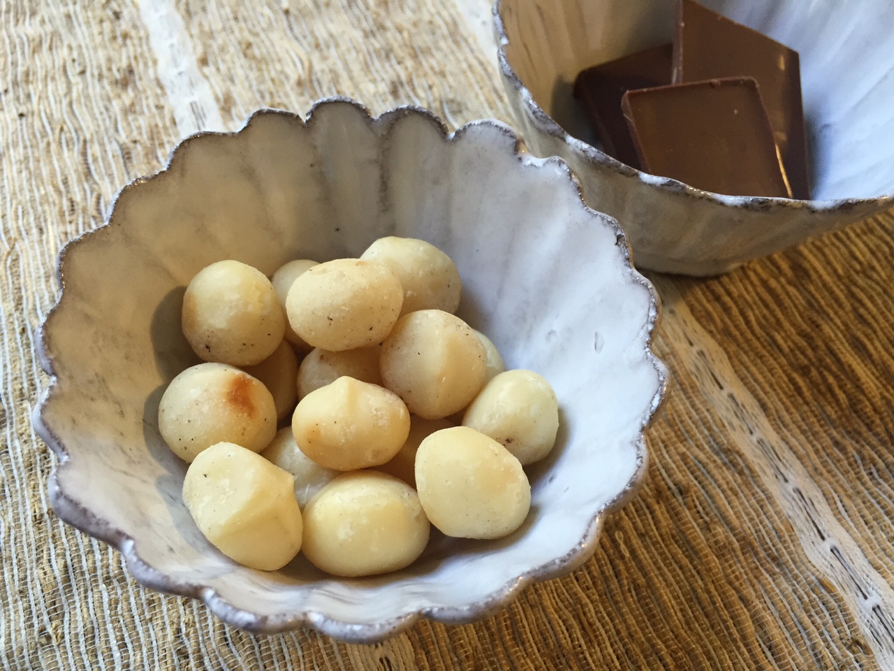 チョコマカデミア