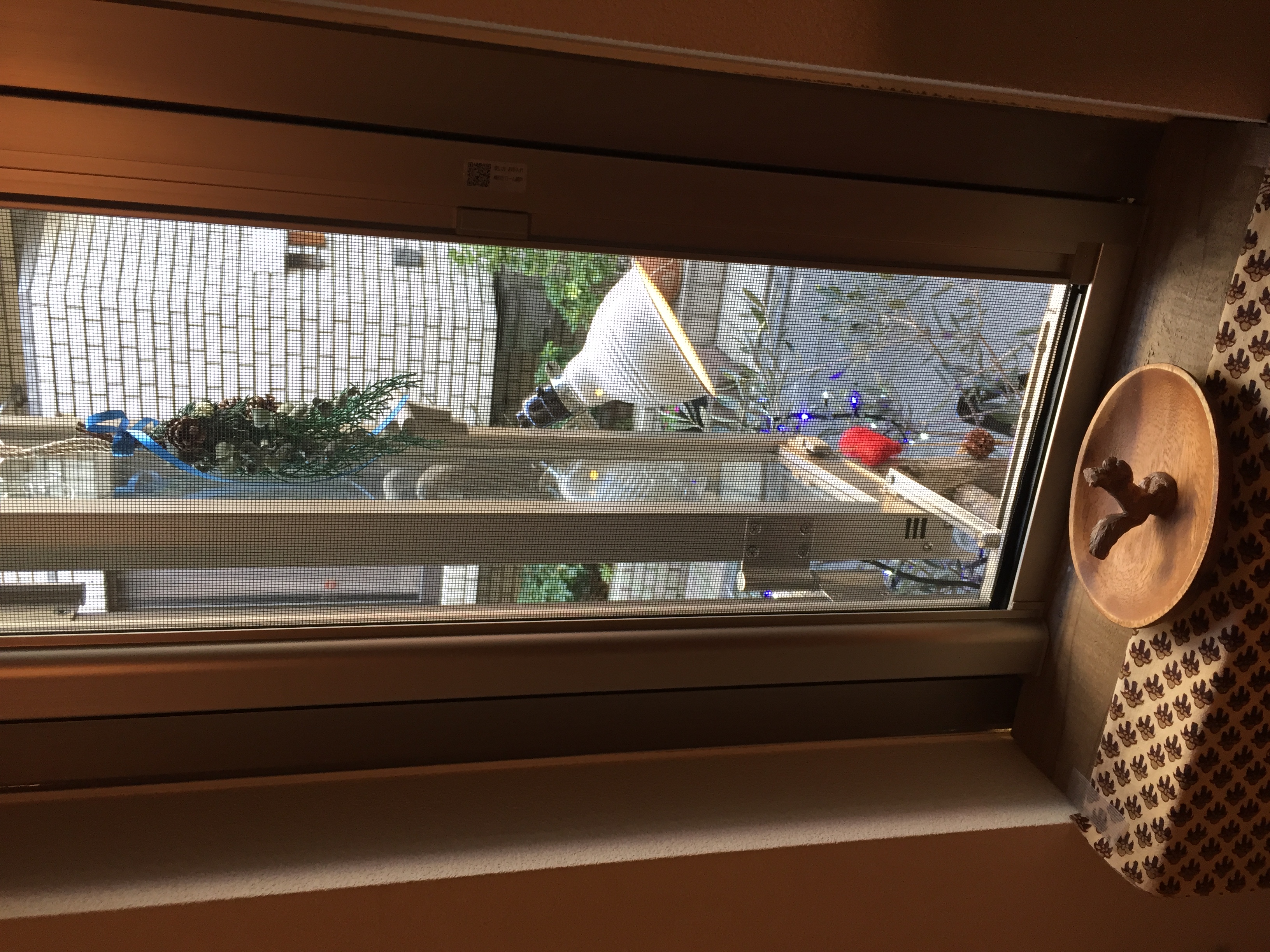 今週は第3土曜日の週です！