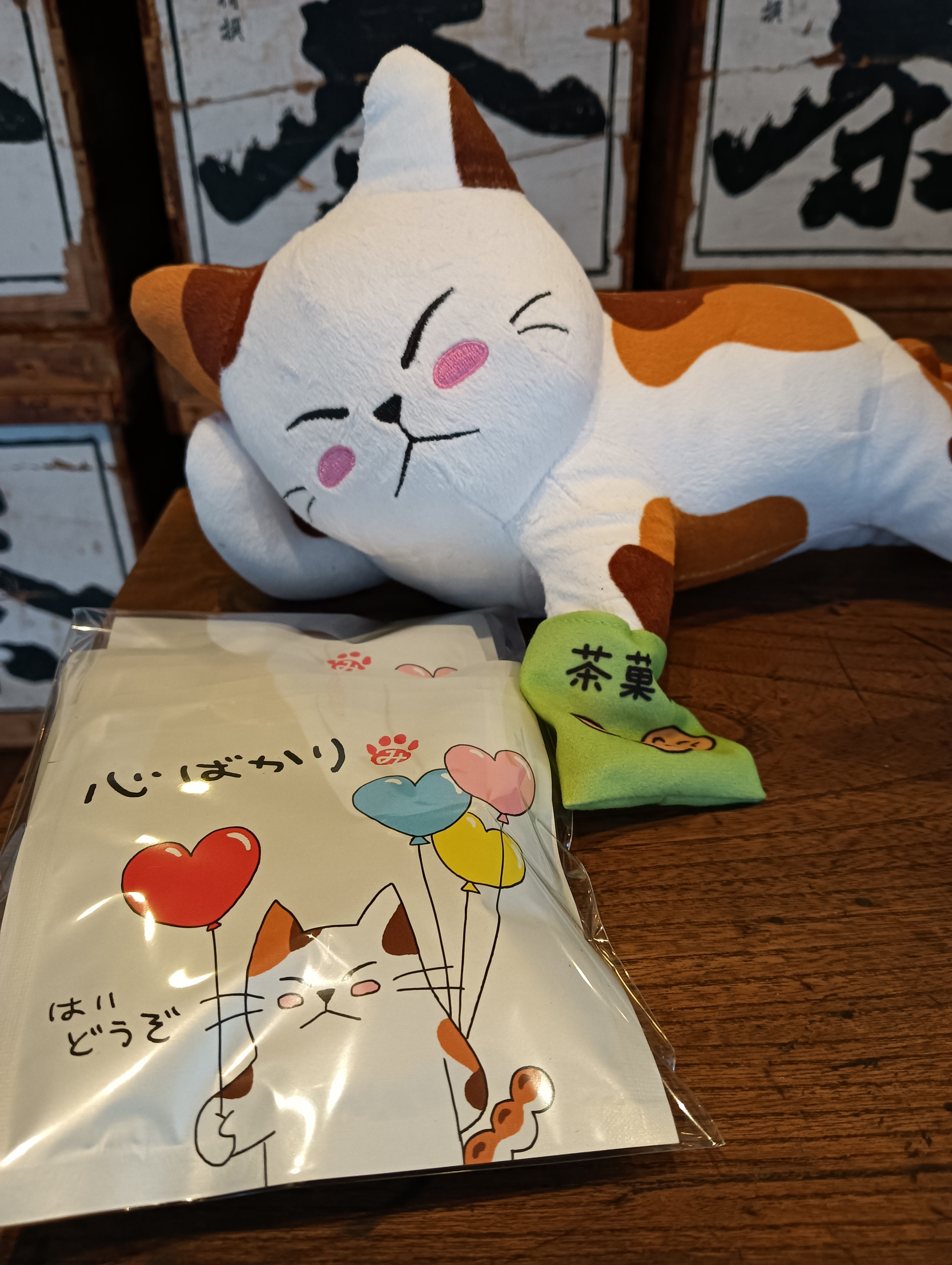 2月22日は「猫の日」🐈