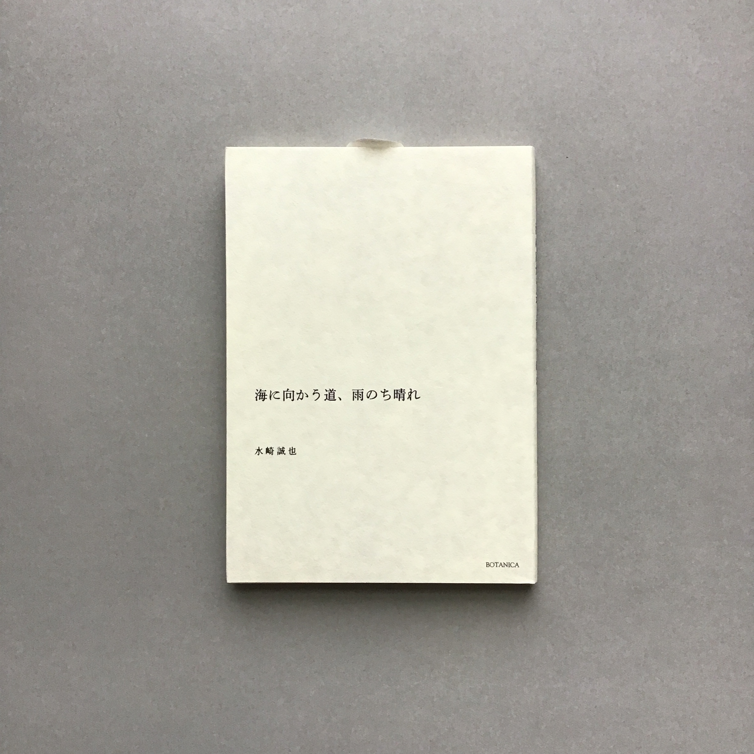 『海に向かう道、雨のち晴れ』 水崎誠也著・BOTANICA