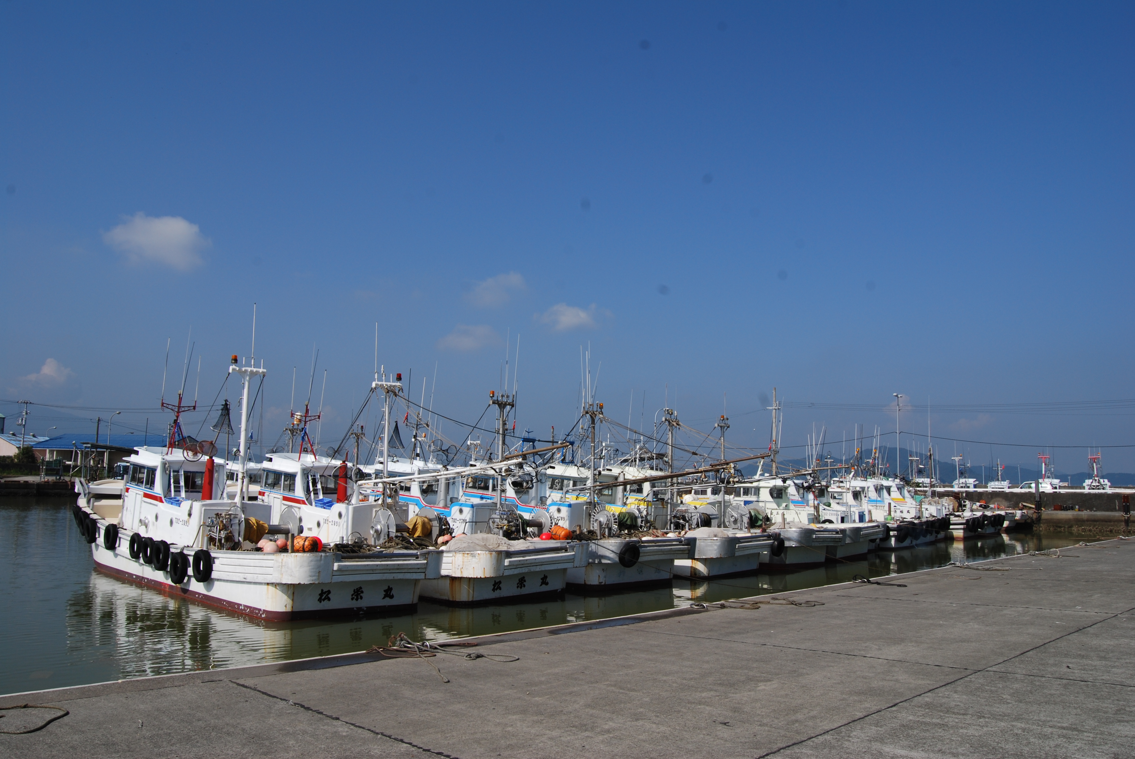 和田島　ちりめん漁漁期