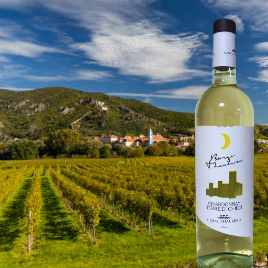 「アブルッツォで一番美味しいワイン」