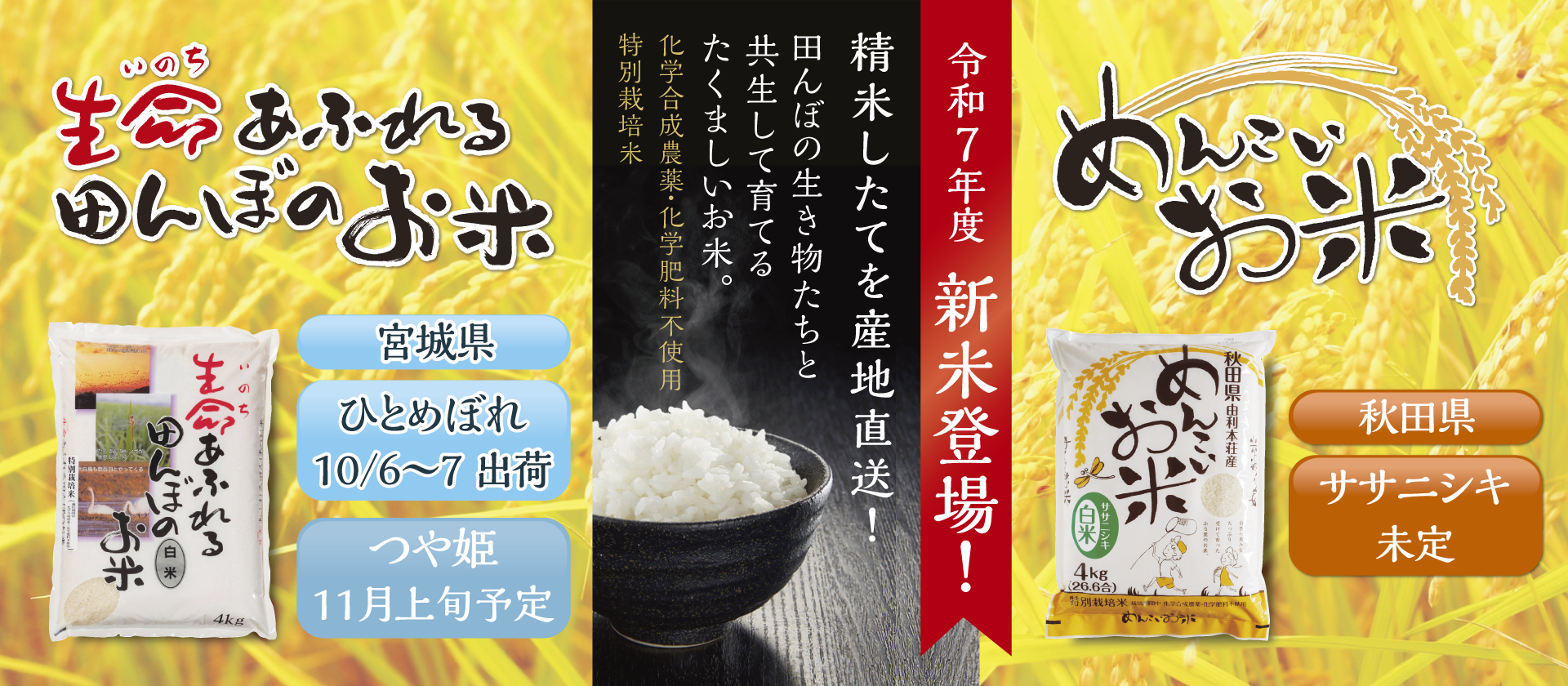 令和7年度新米登場!宮城県産 特別栽培米ひとめぼれ