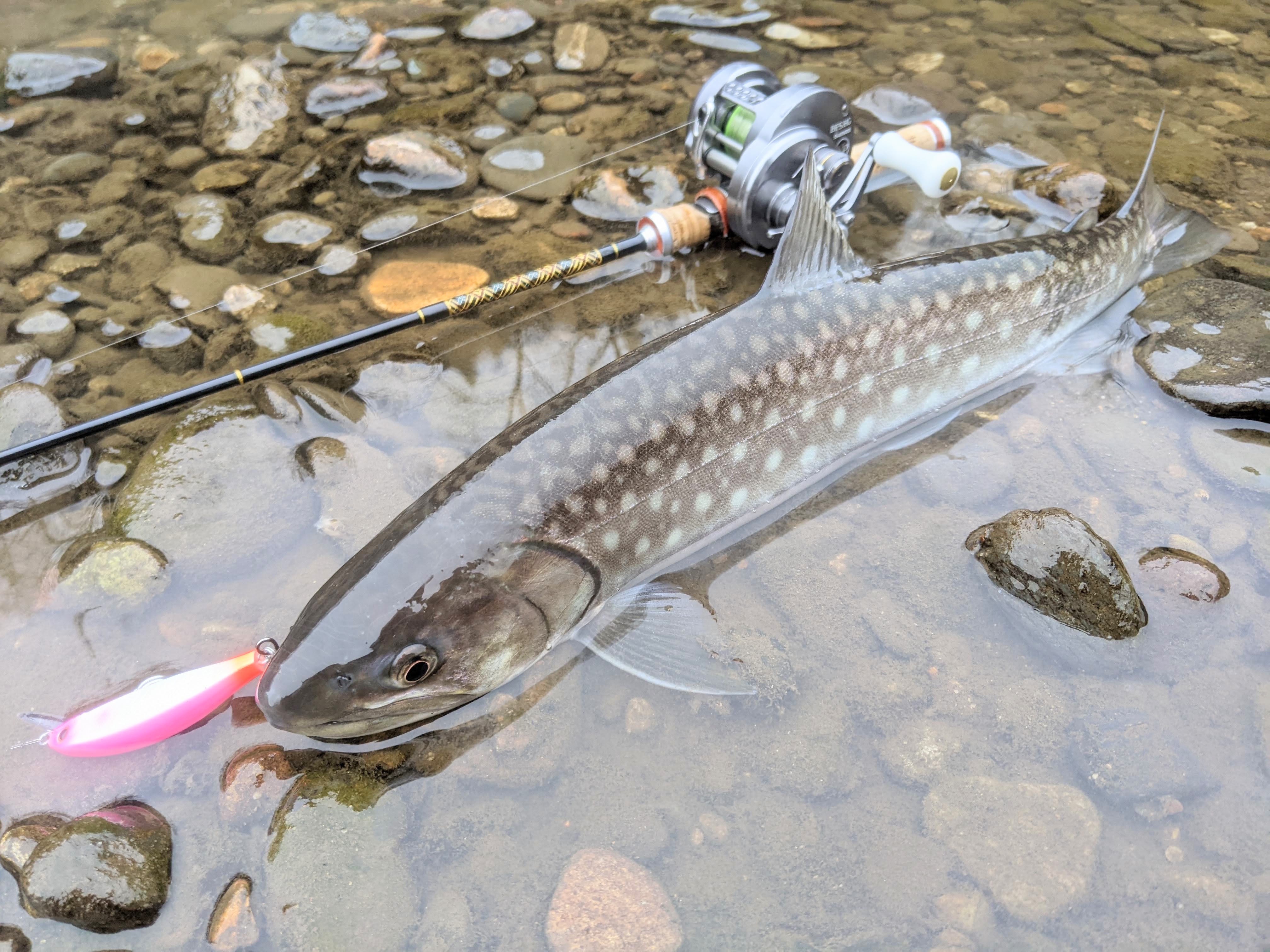 GO-SLOW fishing !! 〜2024 ラスト釣行〜
