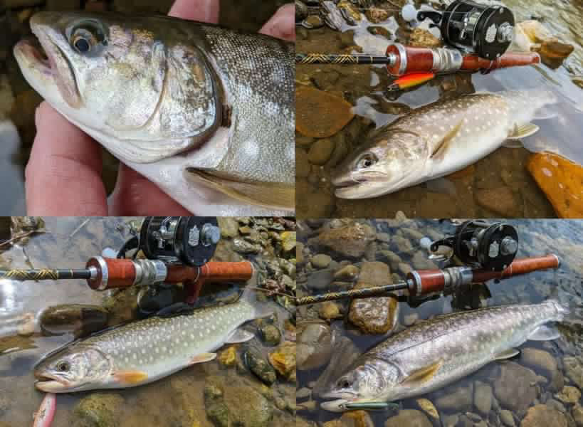 『GO-SLOW fishing』小渓流・イワナ
