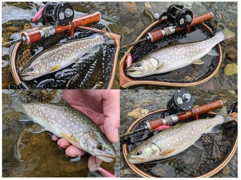 『GO-SLOW fishing』春の小渓流
