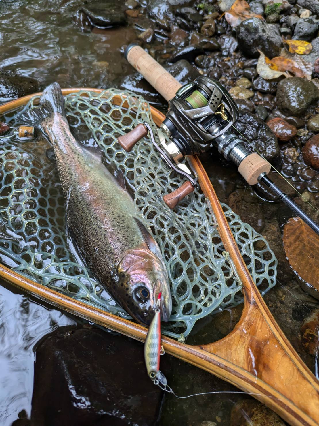 釣果紹介
