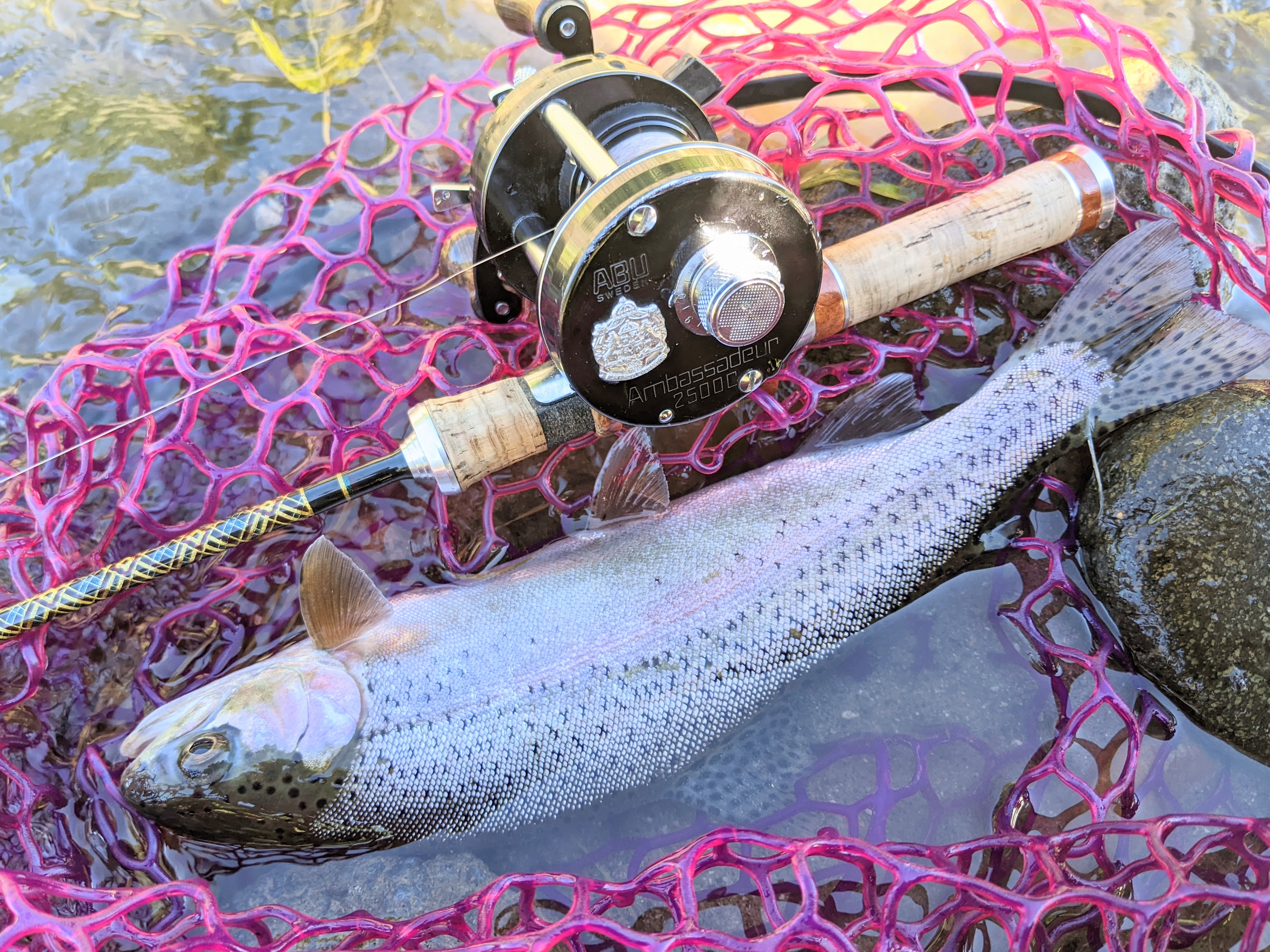 GO-SLOW fishing !! 〜ニジマス〜