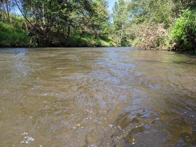 『GO-SLOW fishing』〜夏から秋の気配〜