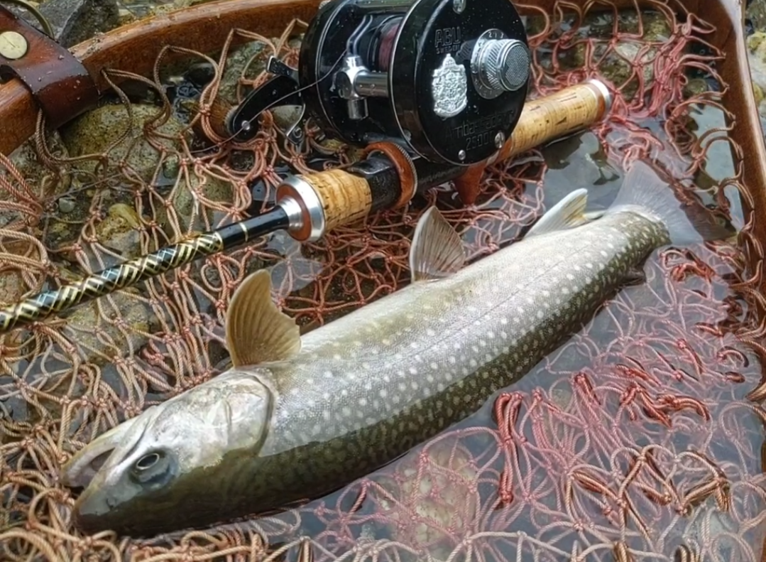 GO-SLOW fishing !! 『オショロコマ』