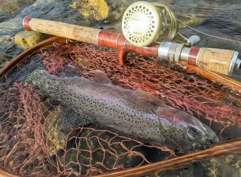 『GO-SLOW fishing』レインボートラウト