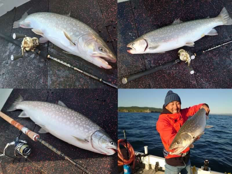 釣果紹介『OFFSHORE TROUT GAME』