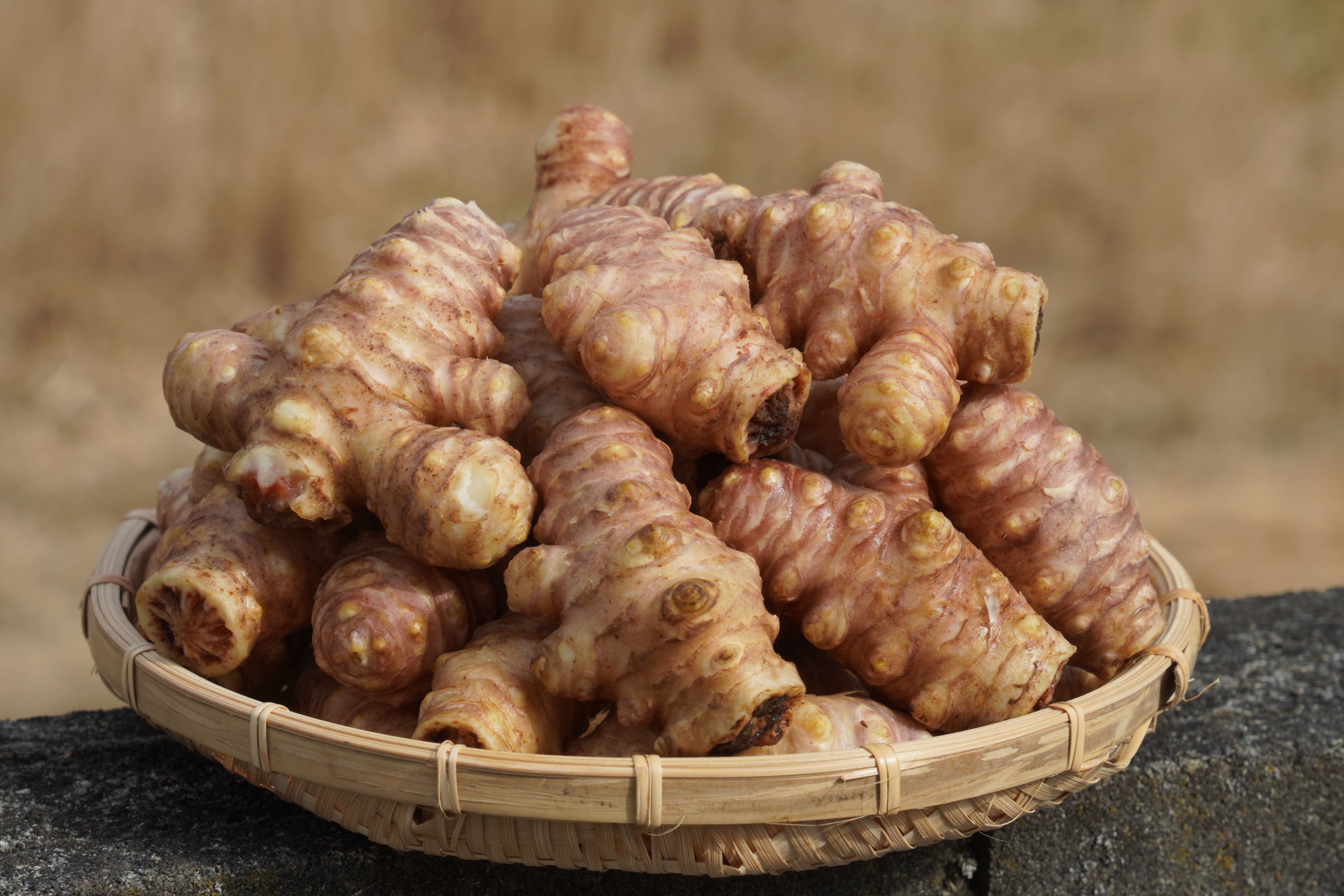 紫菊芋パウダーの飲み方・食べ方7選|農家がおすすめの使い方を紹介