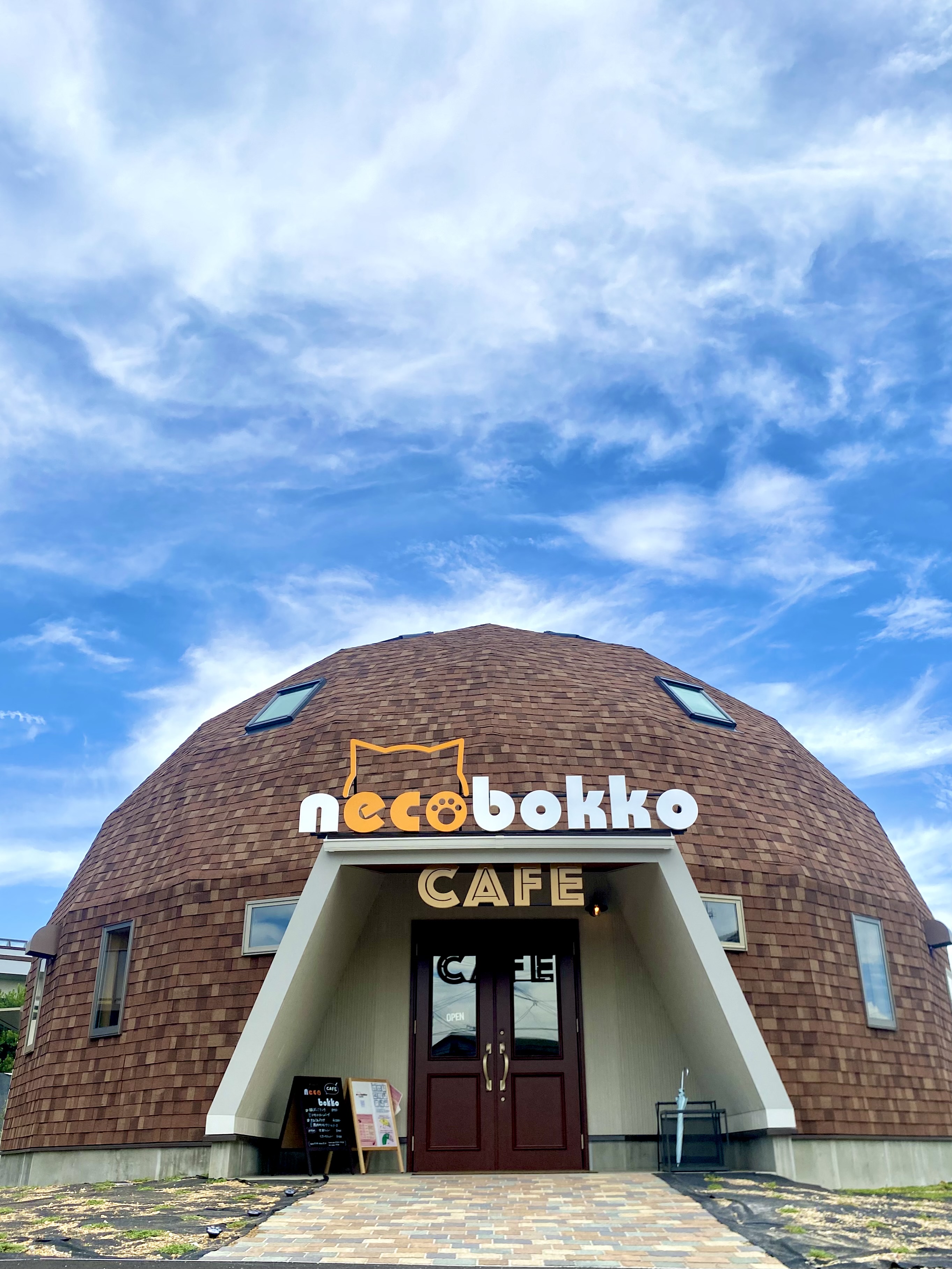 necobokko CAFEオープンのご報告