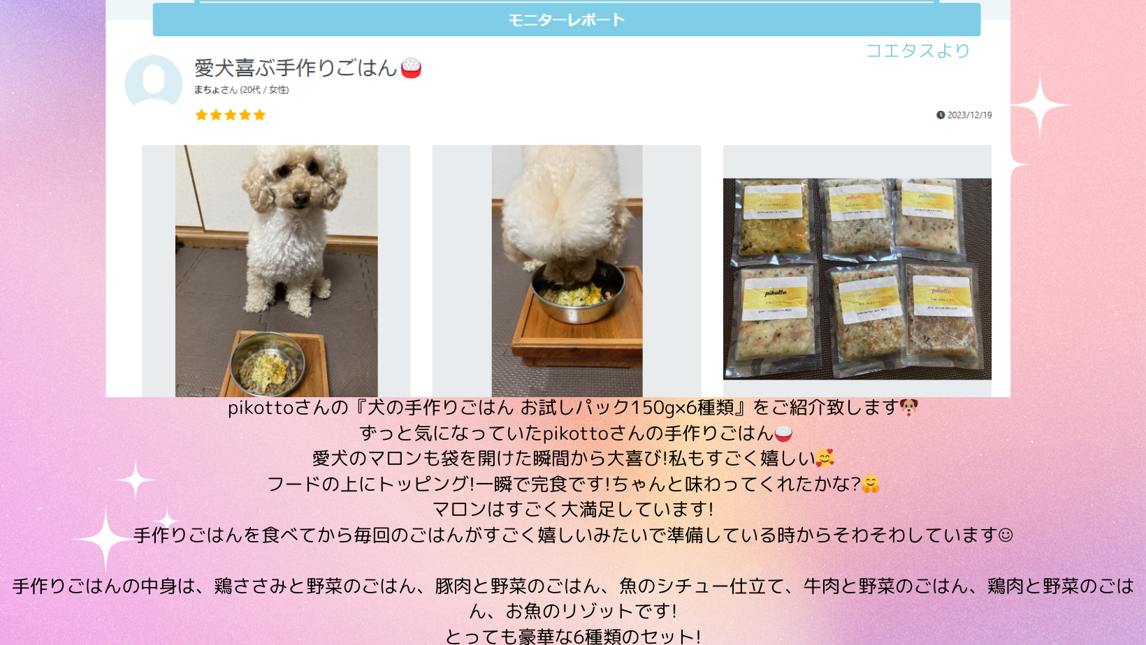 レビュー