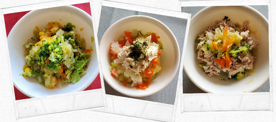 犬の健康について