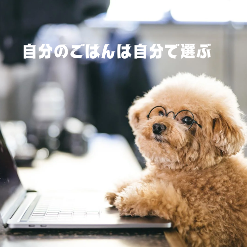 愛犬のご飯を考える。