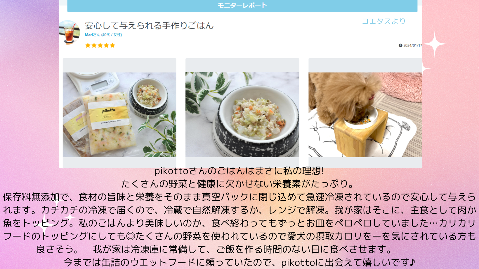 レビュー