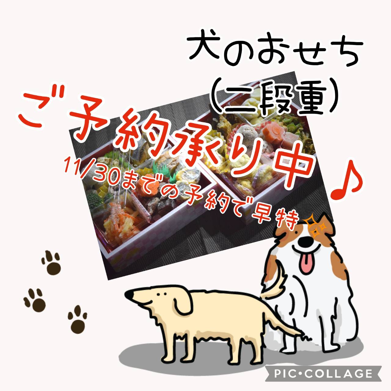 ワンコのおせち、ご予約承り中♪