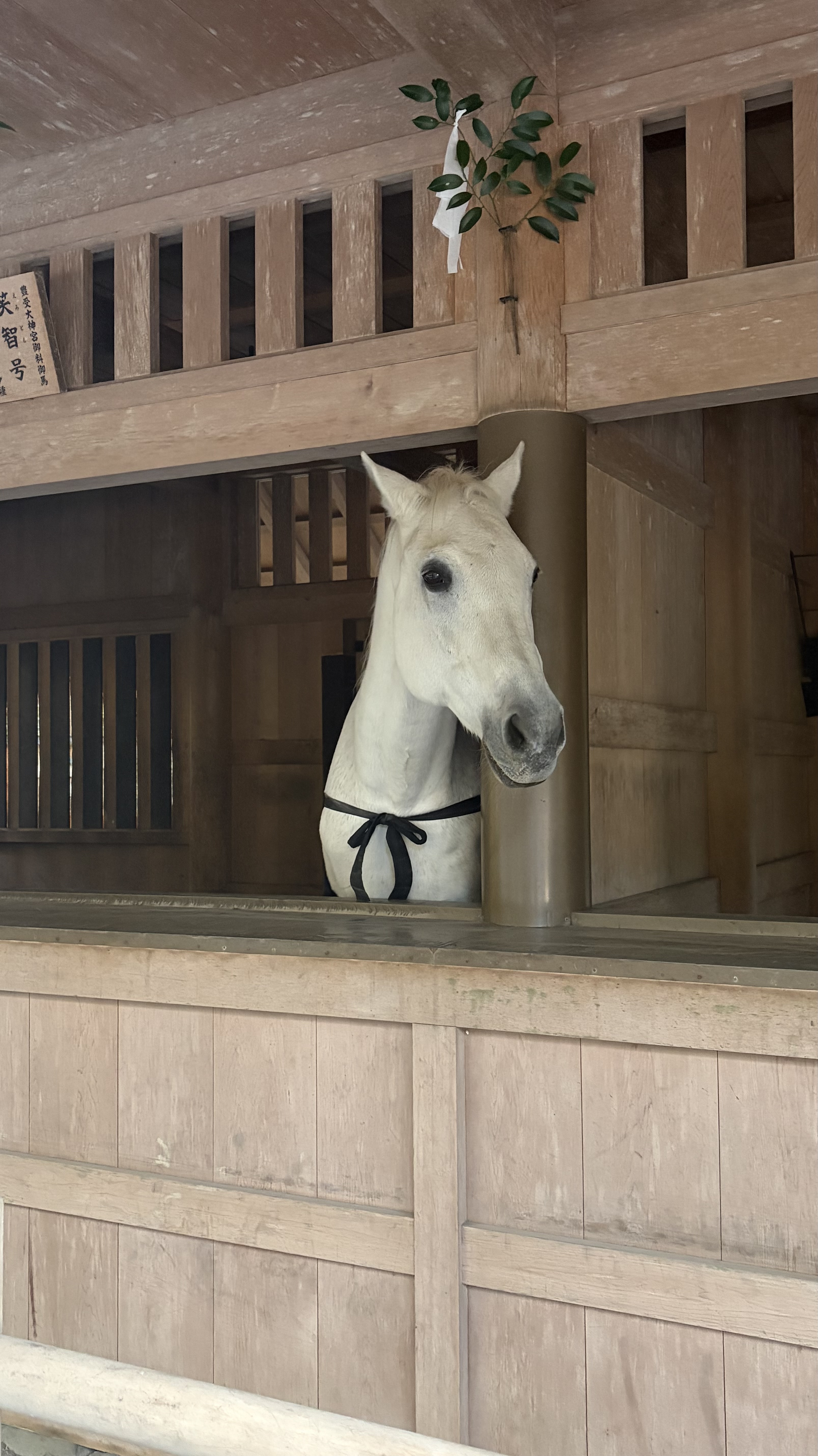 伊勢神宮へお詣り*