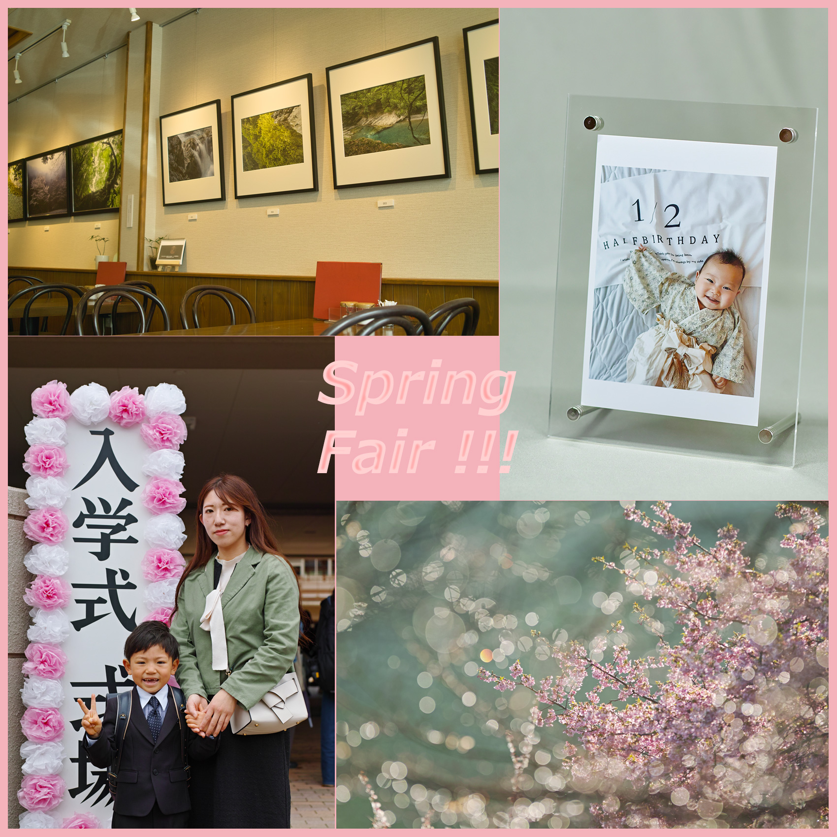 春の作品展応援フェア スタート(~2026年5月31日まで)