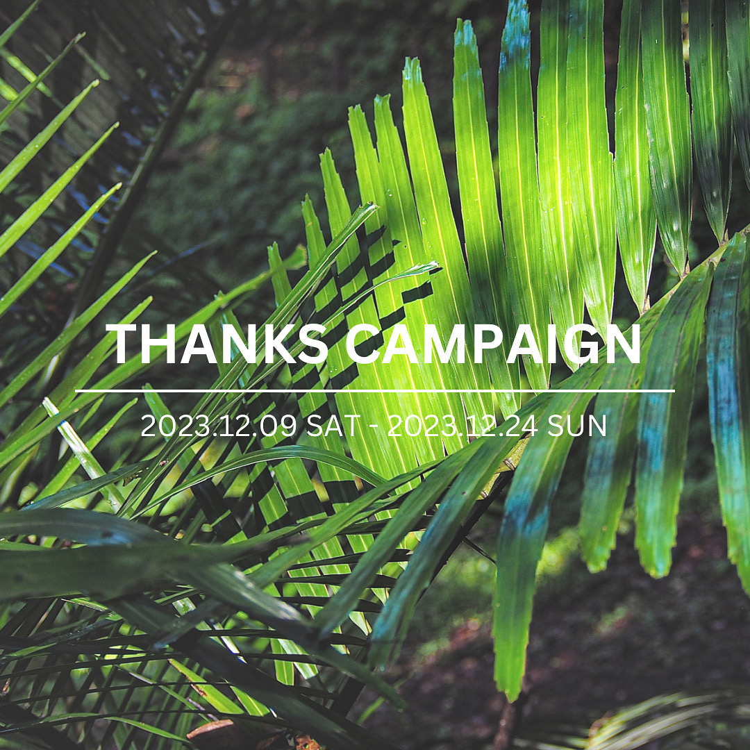 【 THANKS CAMPAIGN 】