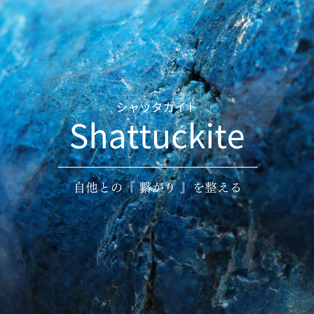 【 ６月のリリースアイテム 】