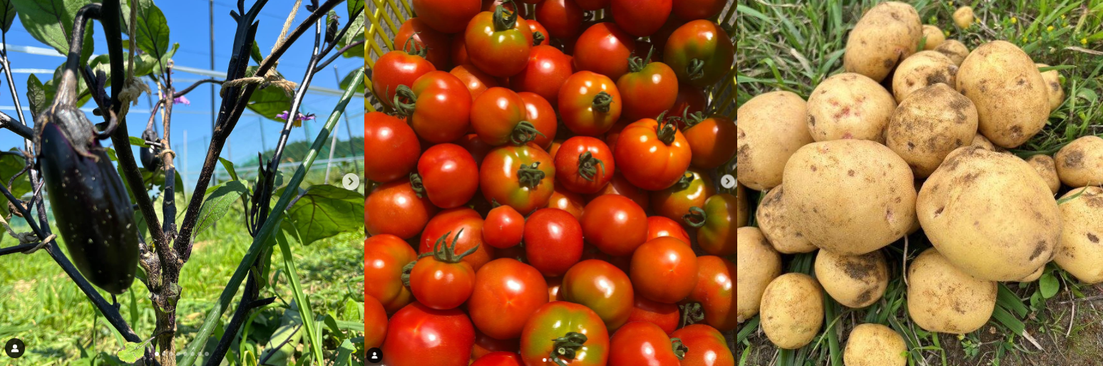 【有機JAS認証】はじまり屋　旬のお野菜セットの販売開始！