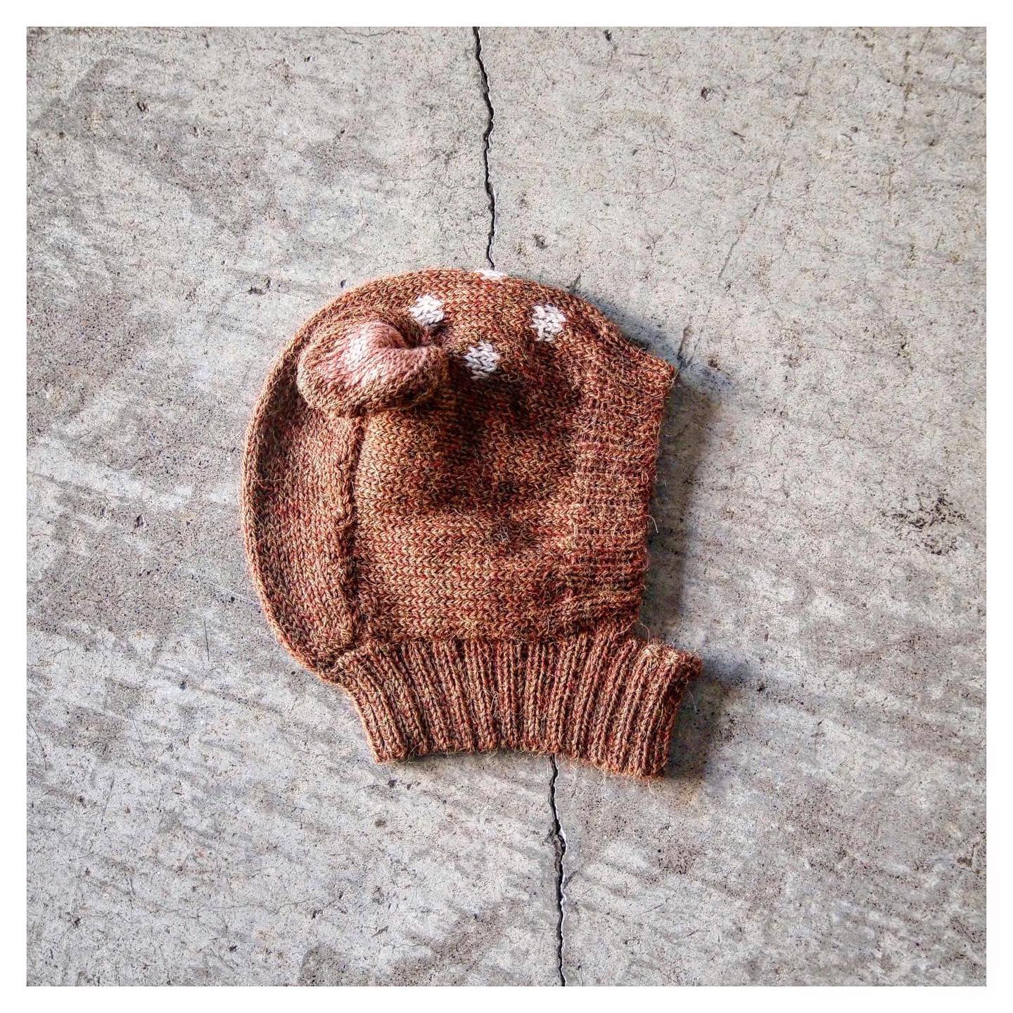 Today's RECOMMEND 2019/01/06
