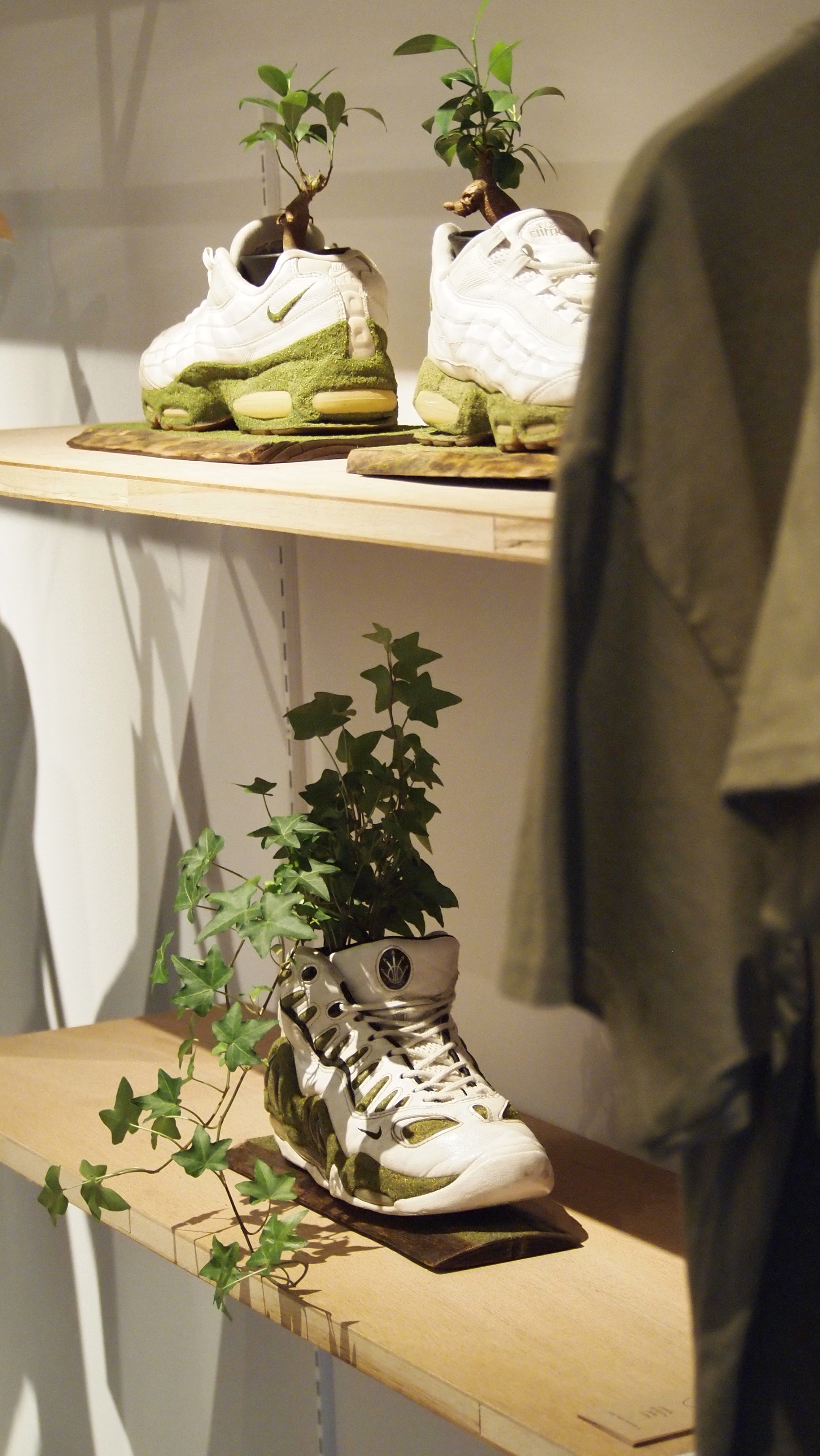 EVENT - SHOETREE -