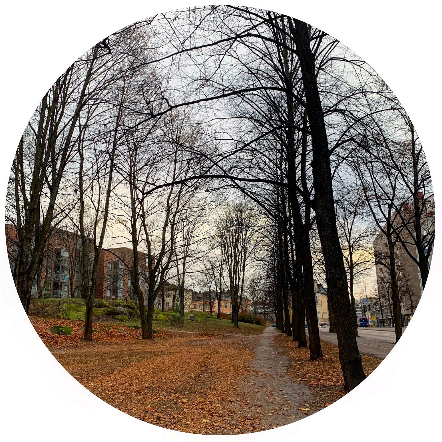 AUTUMN IN FINLAND🇫🇮