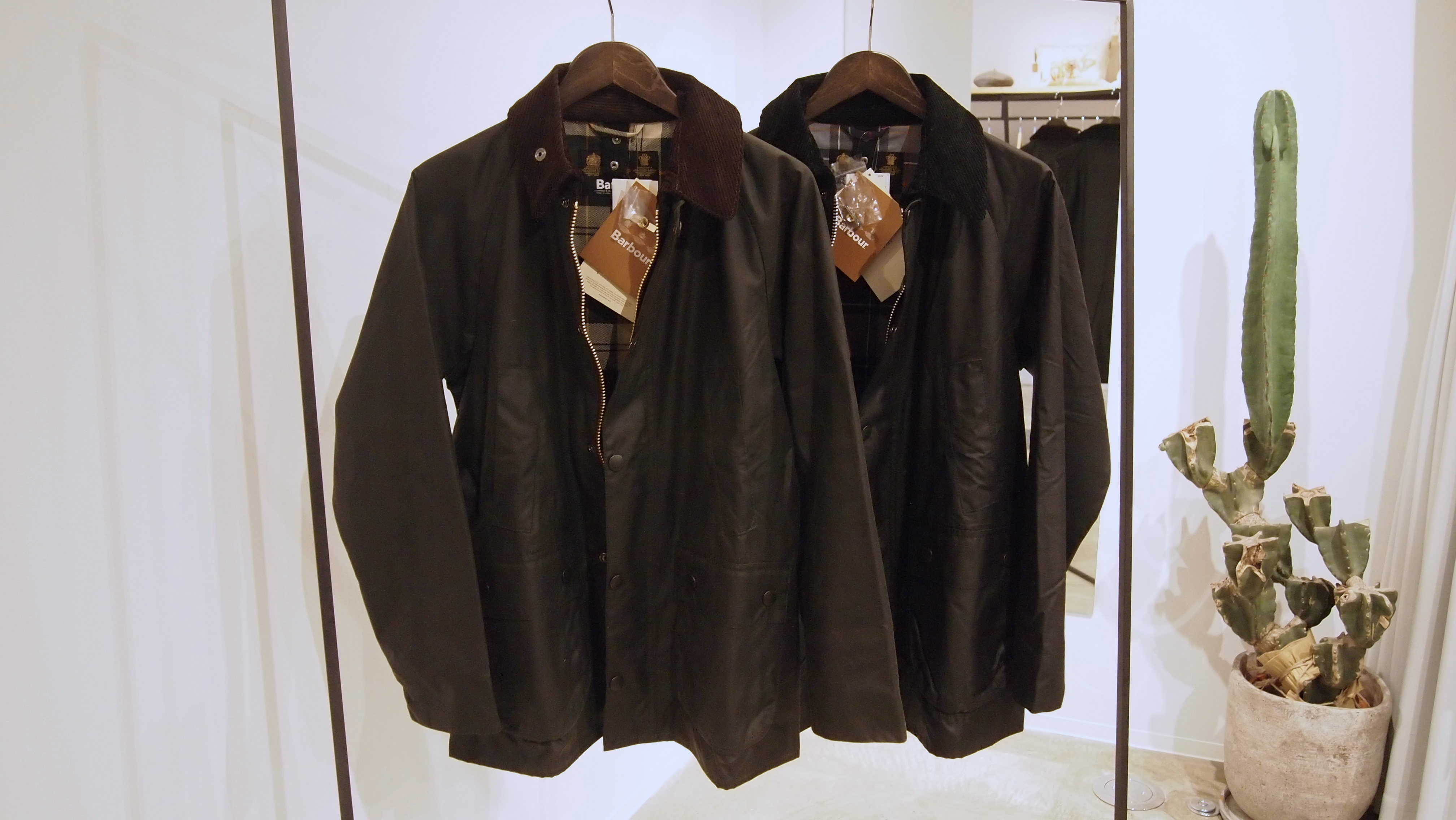 Today's RECOMMEND 2016/12/27