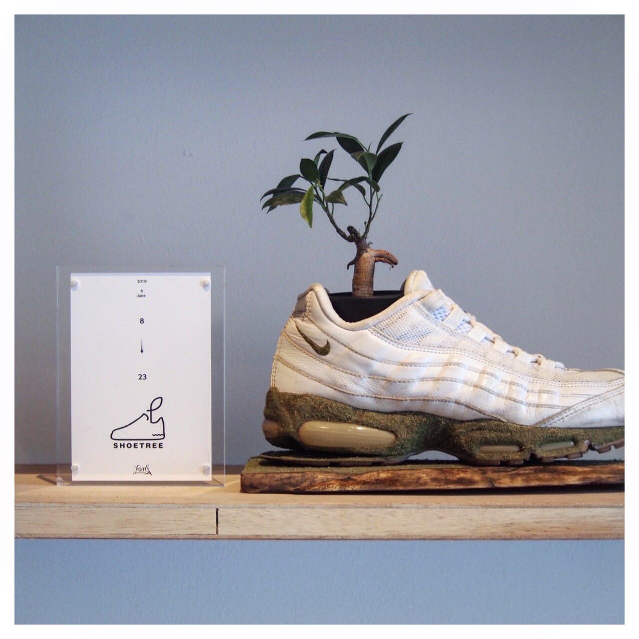 - SHOETREE -