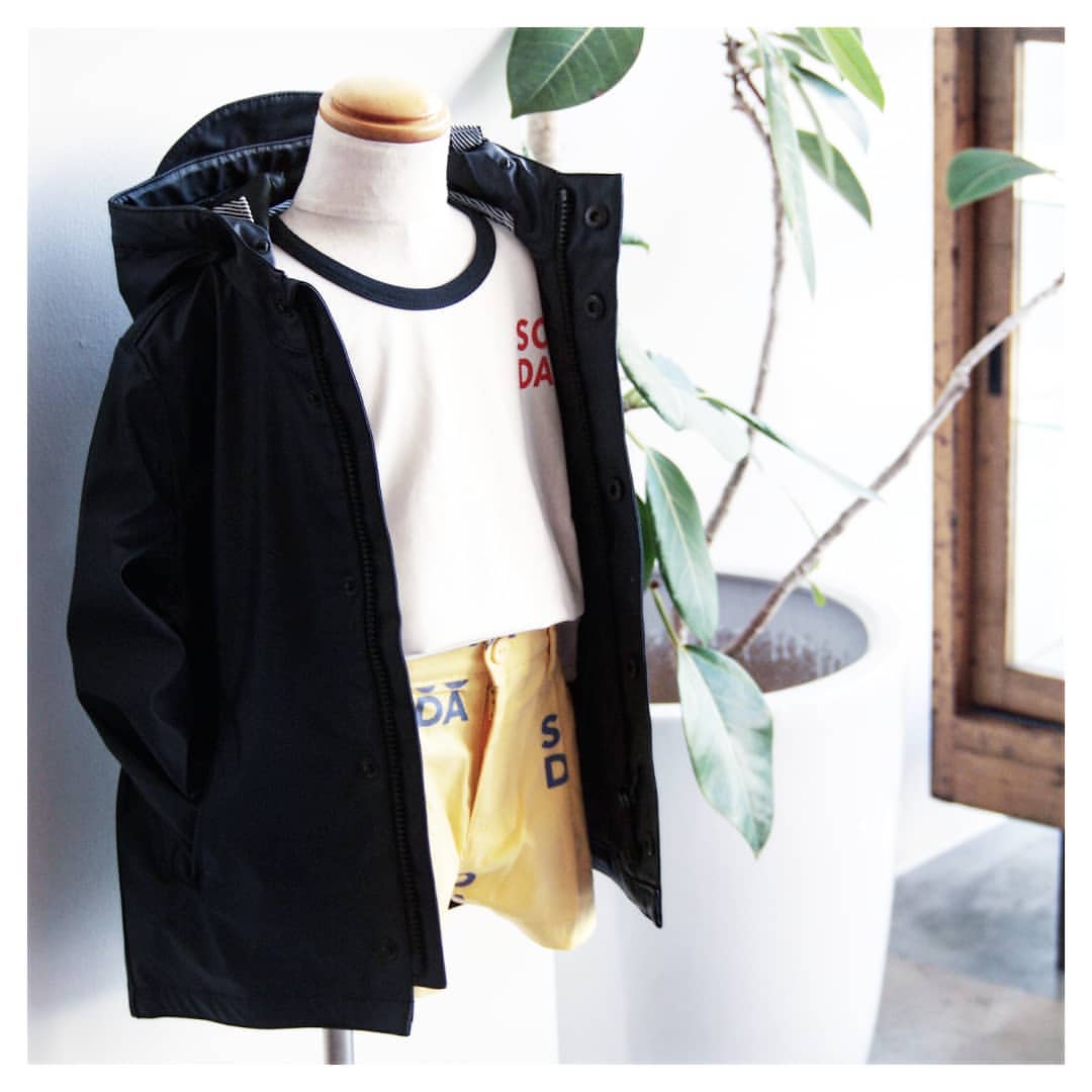 Today's RECOMMEND 2019/01/26