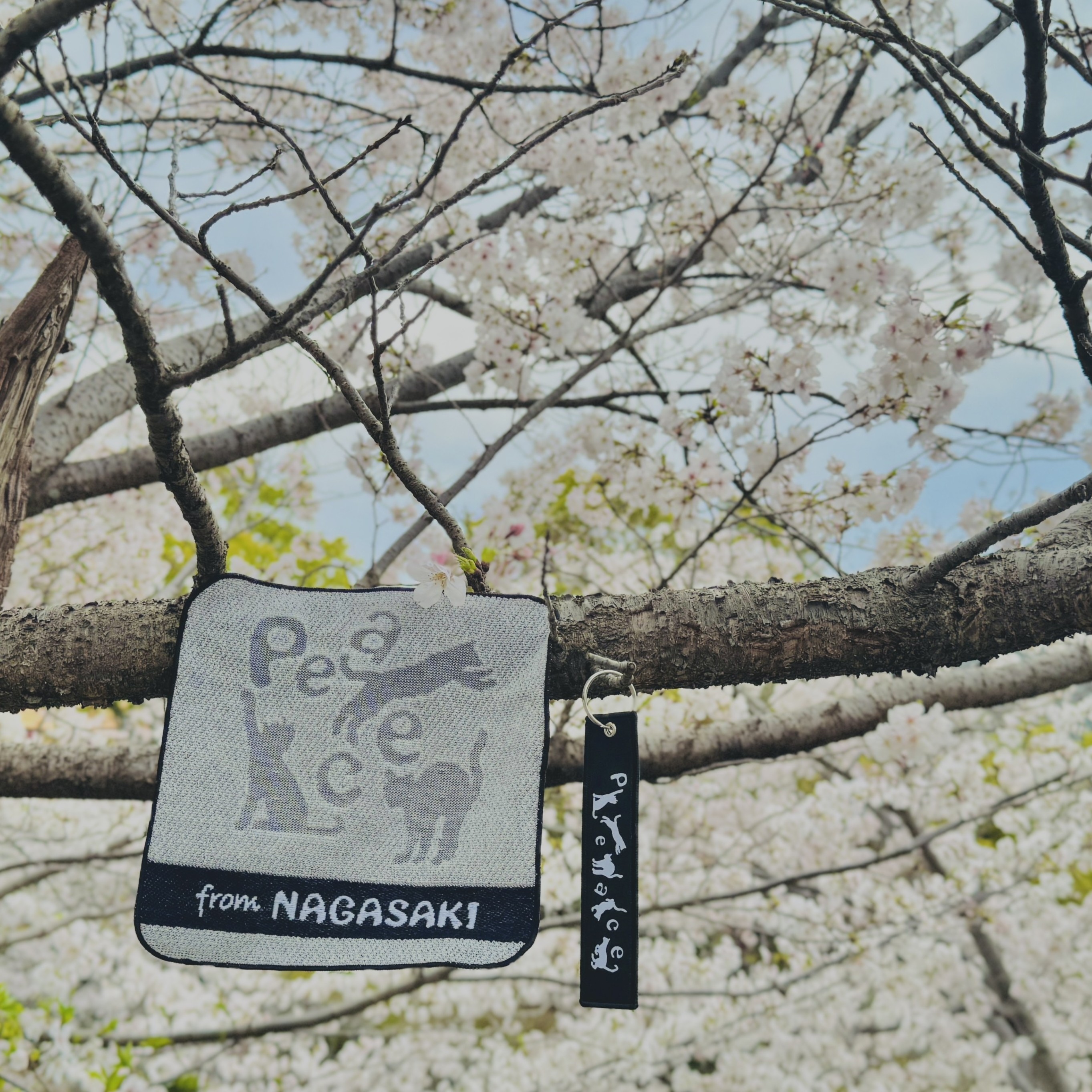 Peaceな ねこシリーズの新商品！ ミニタオルとフライトタグです！