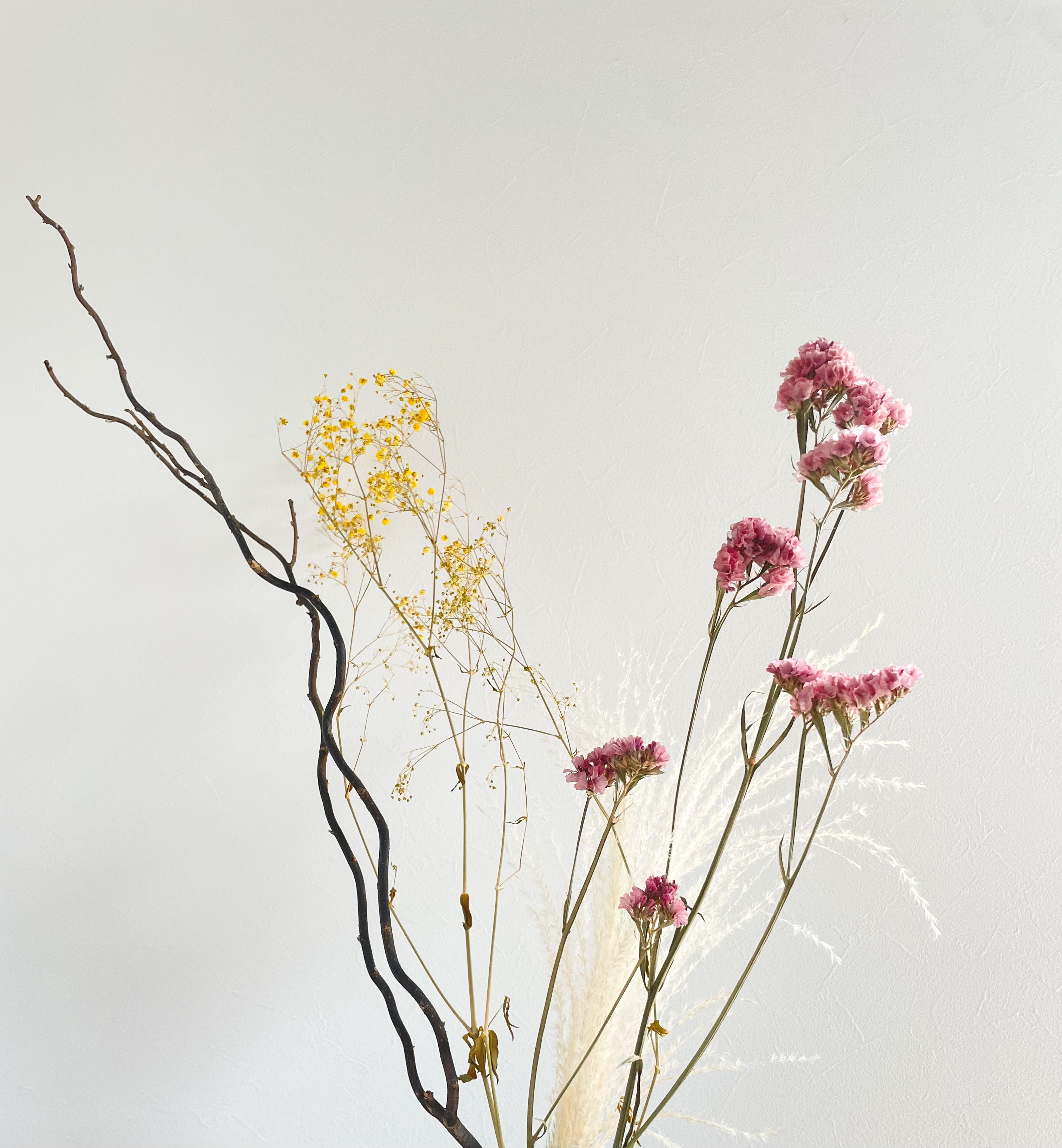 はじめましてCoral Colorです🌼